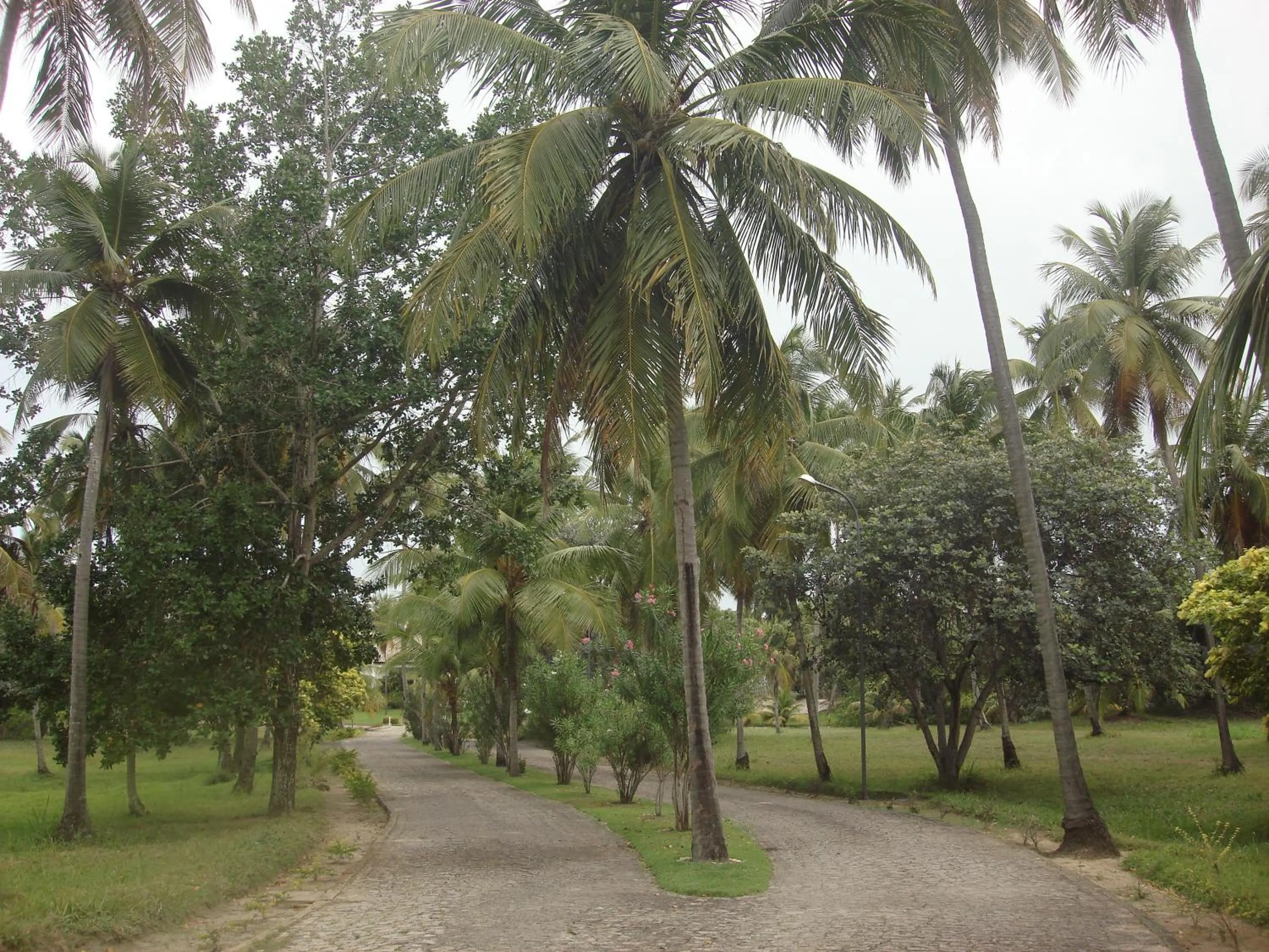 Facade/entrance in Hotel D'Anatureza