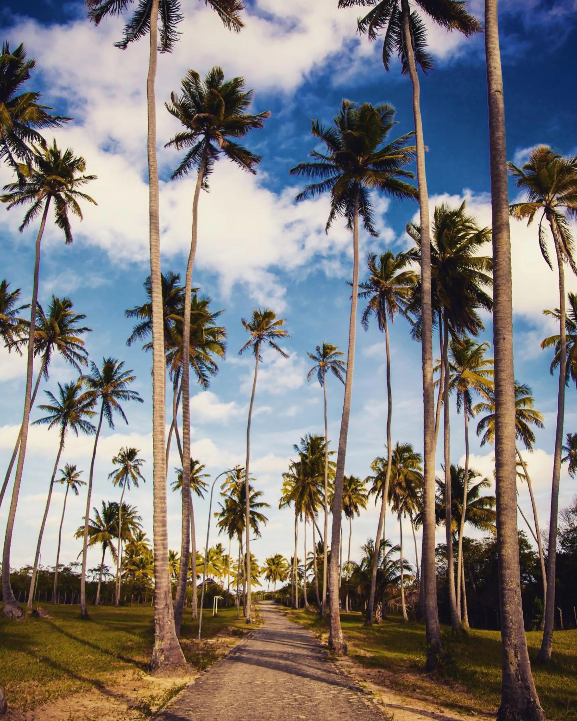 Natural landscape in Hotel D'Anatureza