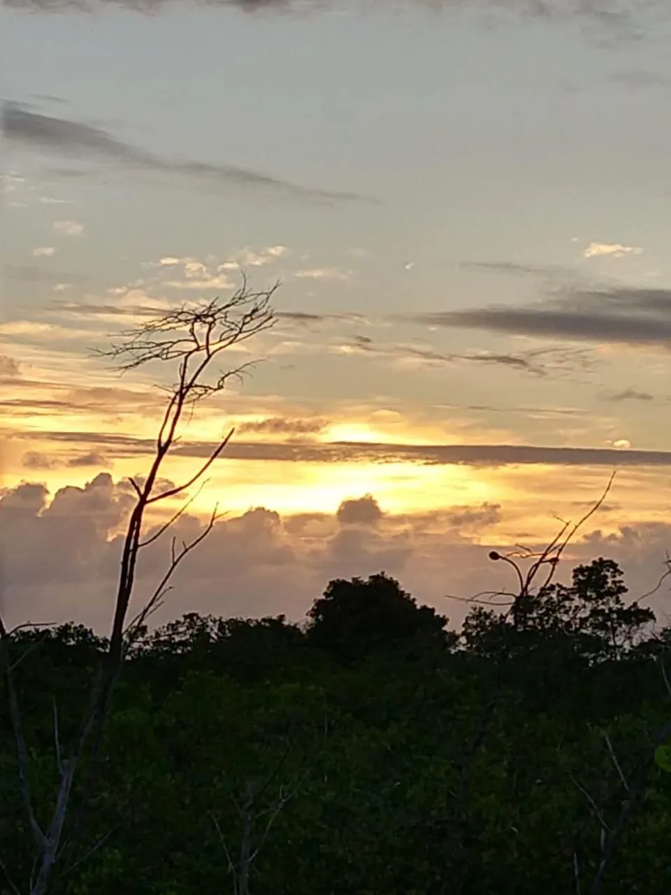 Beach in Hotel D'Anatureza