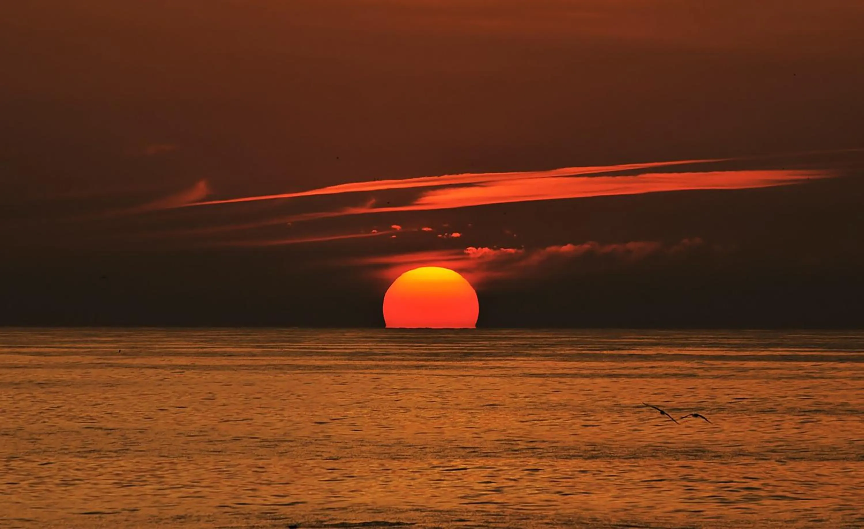 Natural landscape in Rosamar Apartamentos