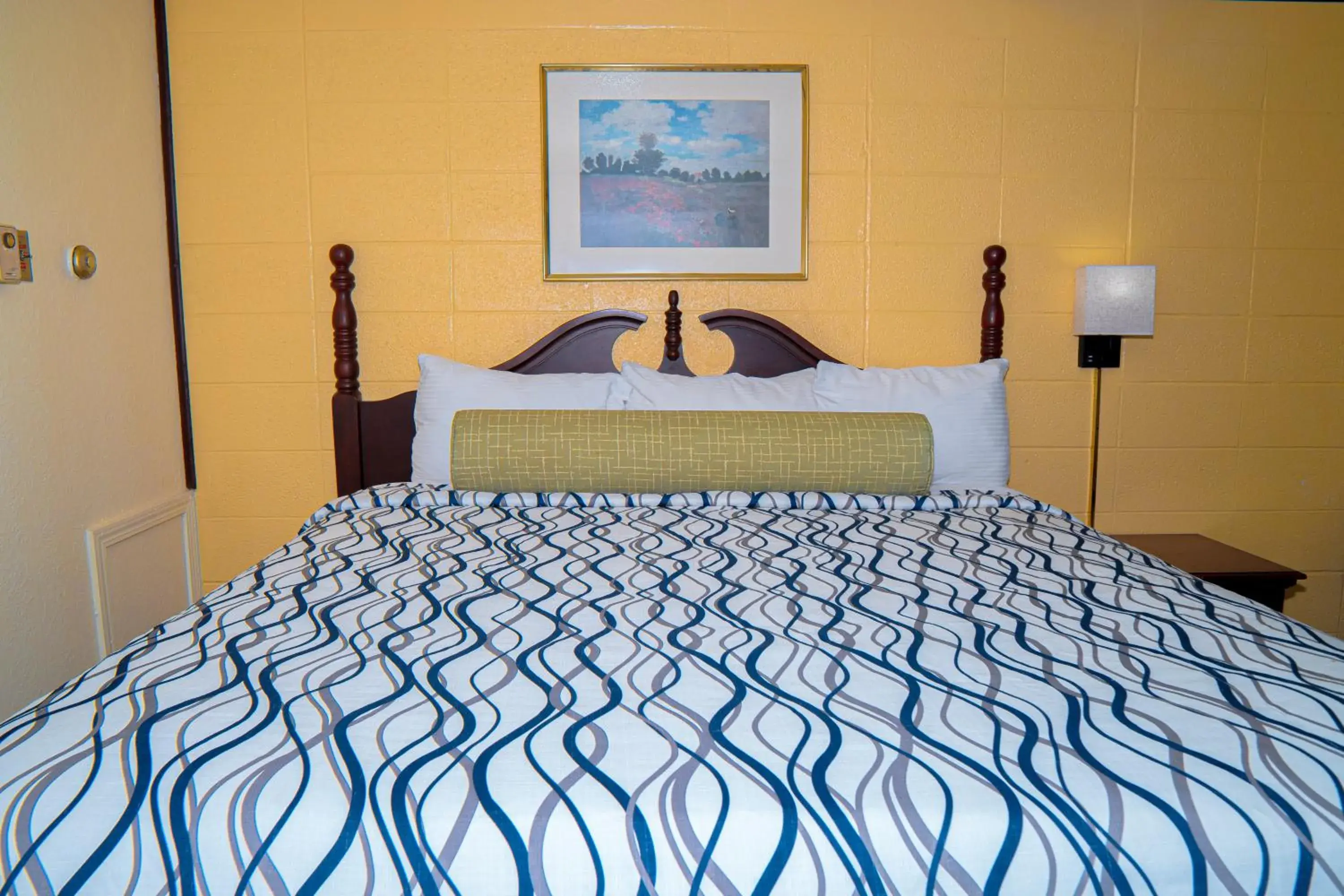 King Room - single occupancy in South Wind Inn King Room - single occupancy in South Wind Inn
