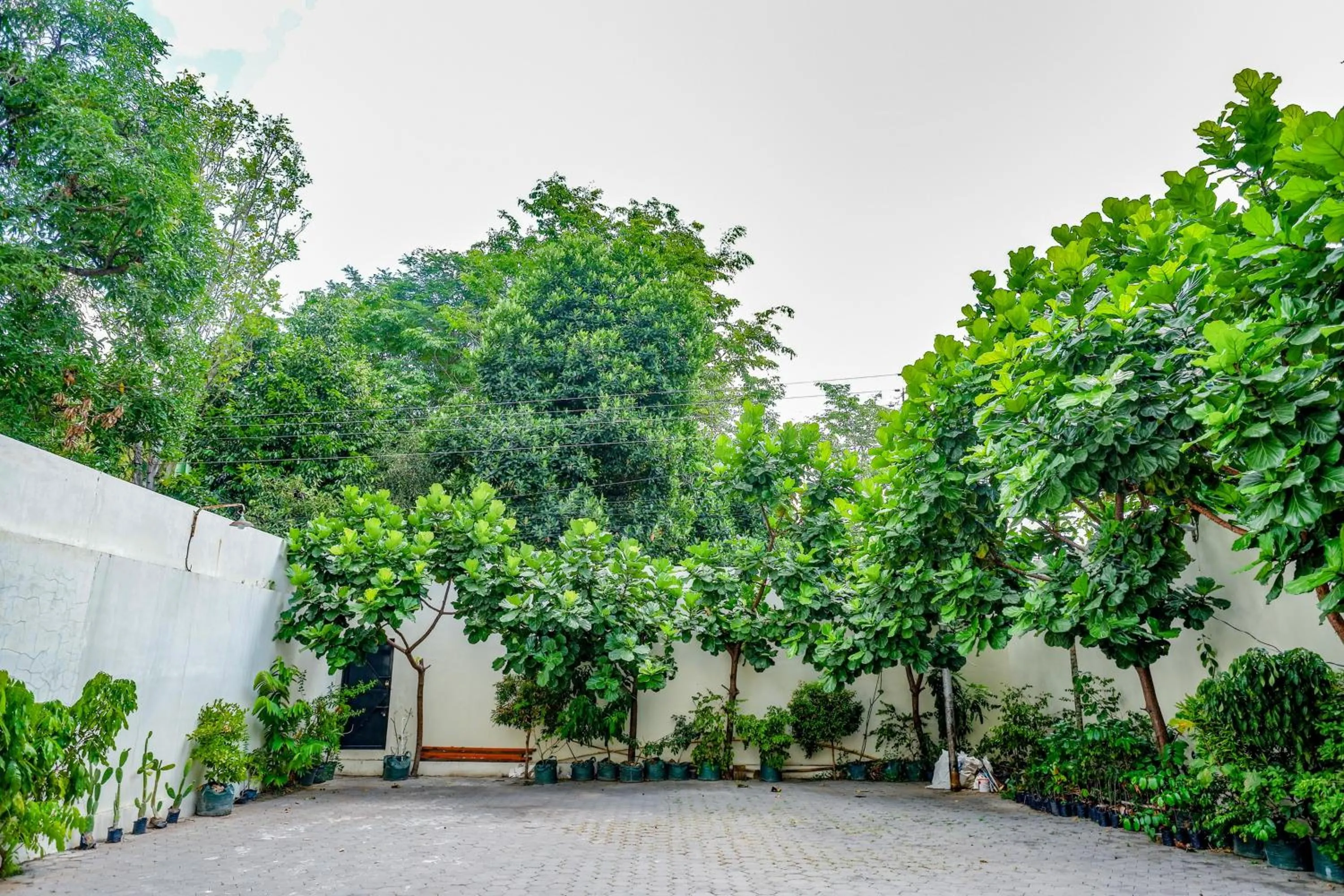 Garden in Sans Hotel Nagari Malioboro