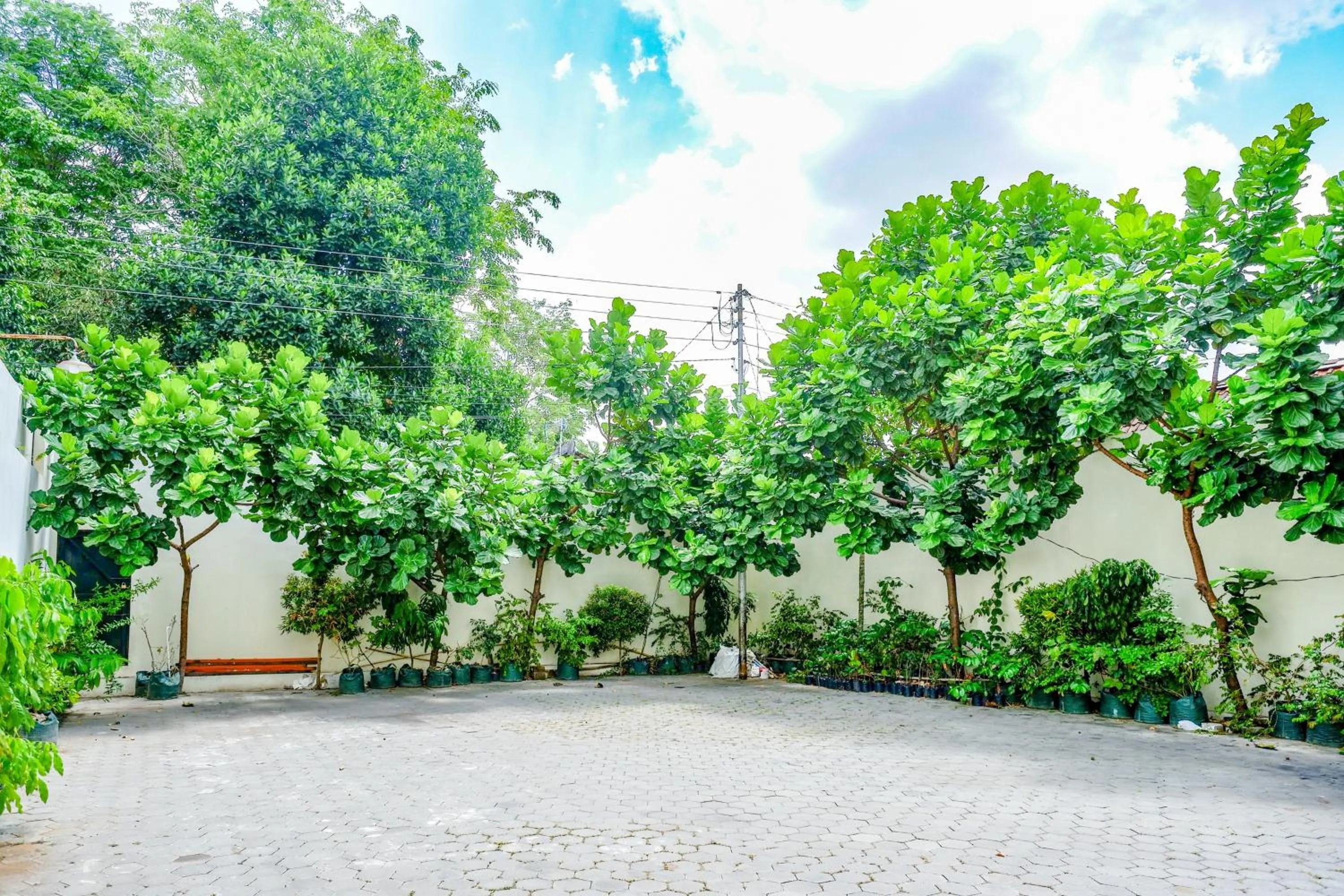 Garden in Sans Hotel Nagari Malioboro