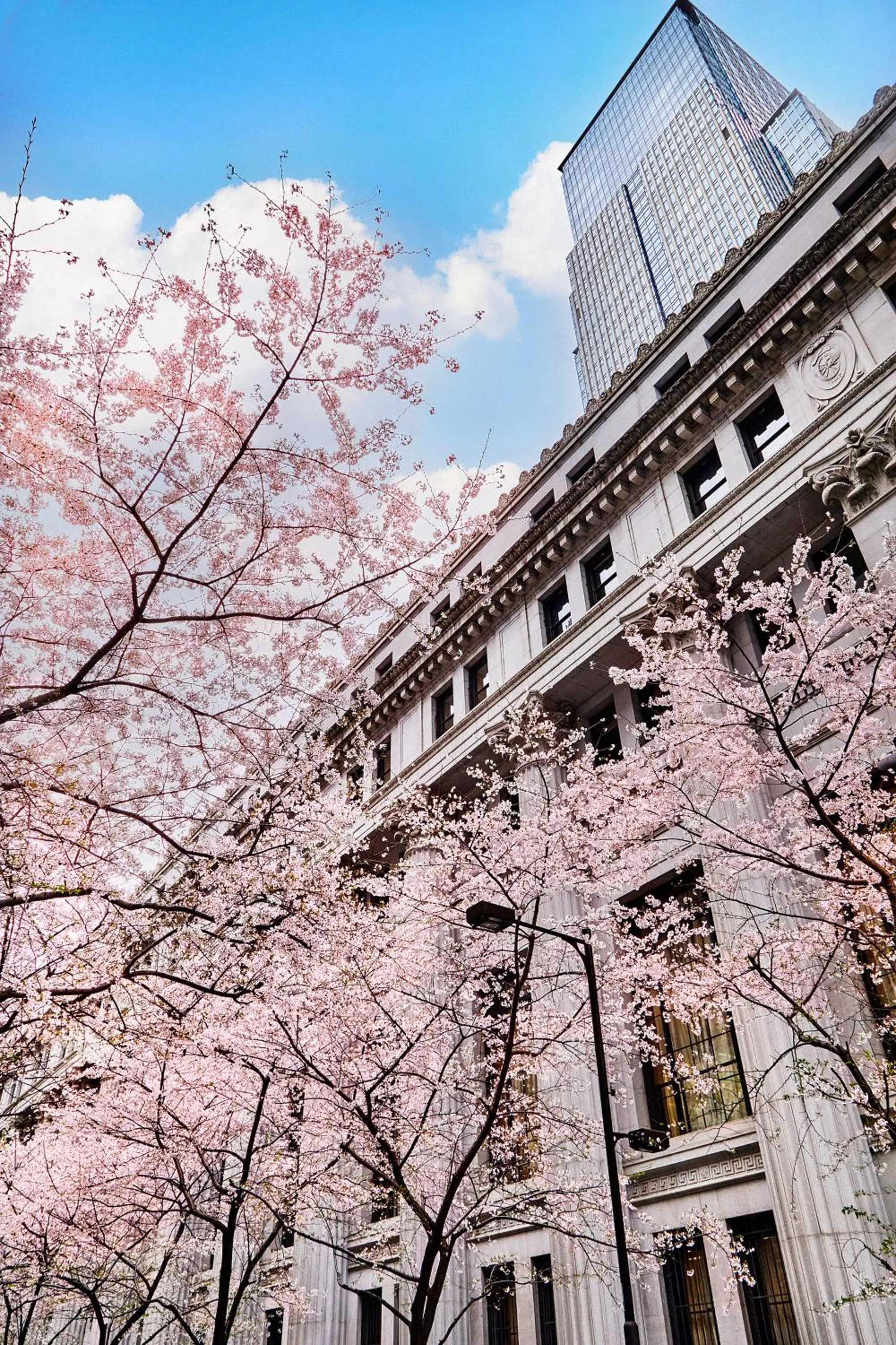 Property building in Mandarin Oriental, Tokyo
