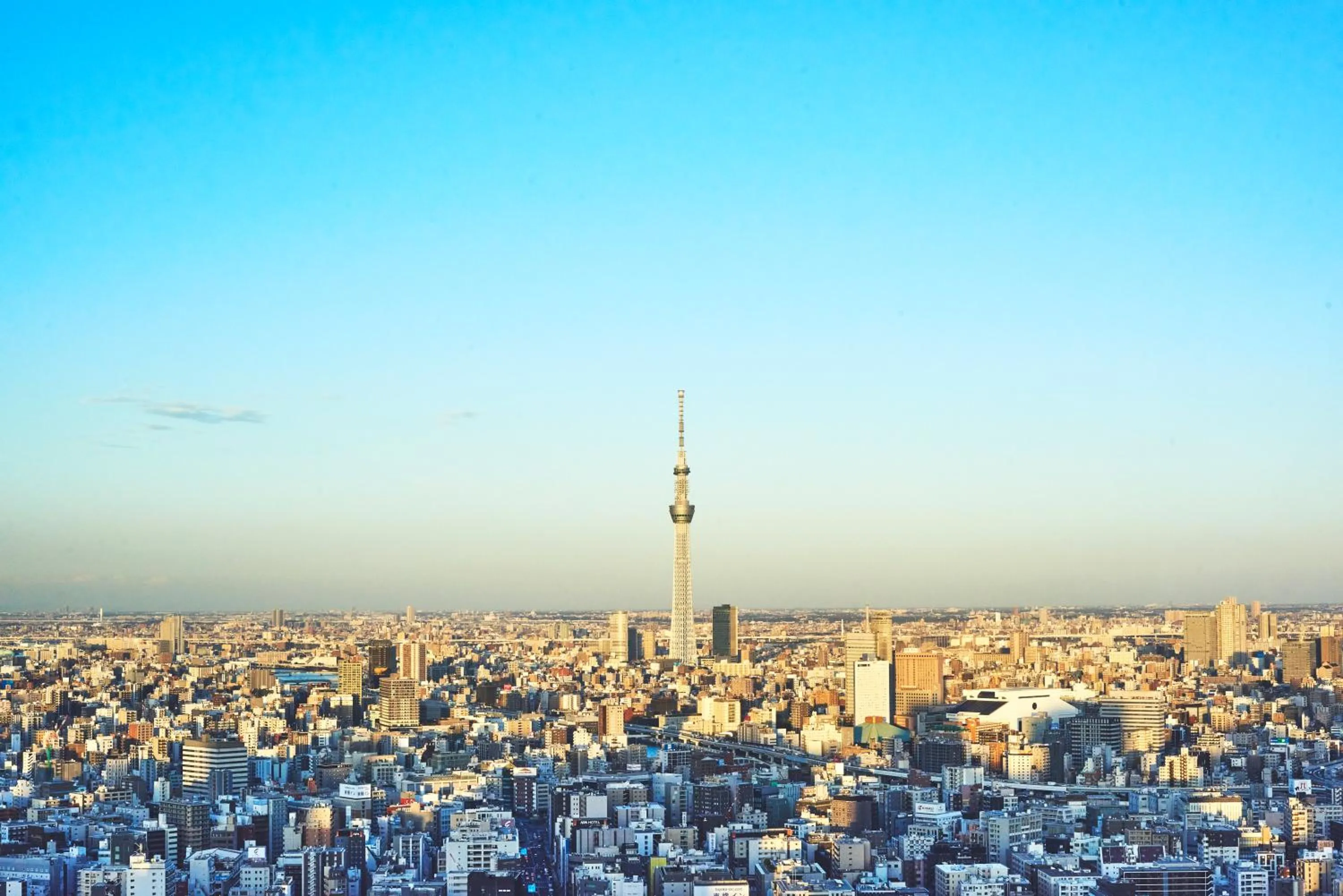 City view in Mandarin Oriental, Tokyo