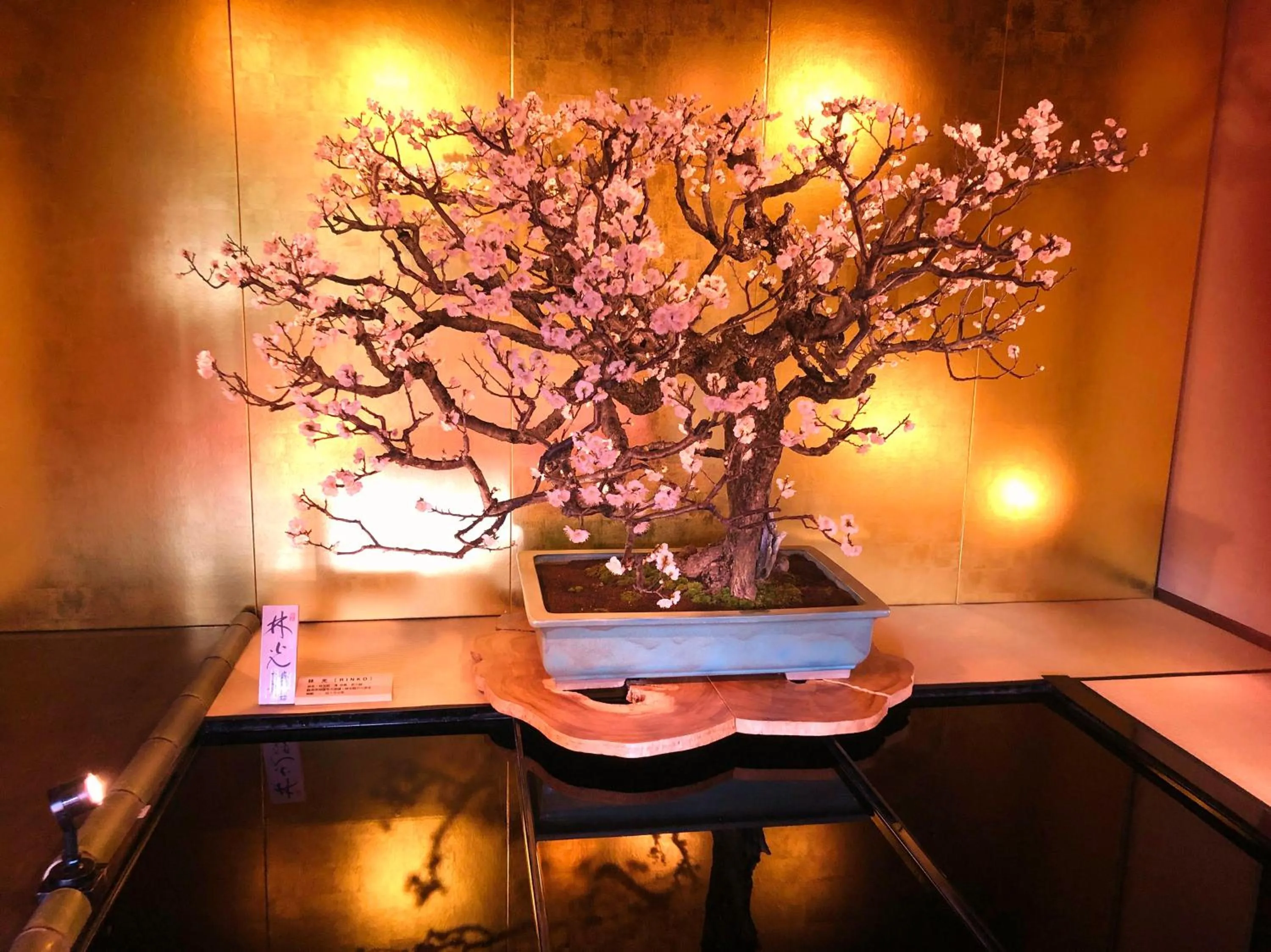 Kitabiwako Hotel Grazie