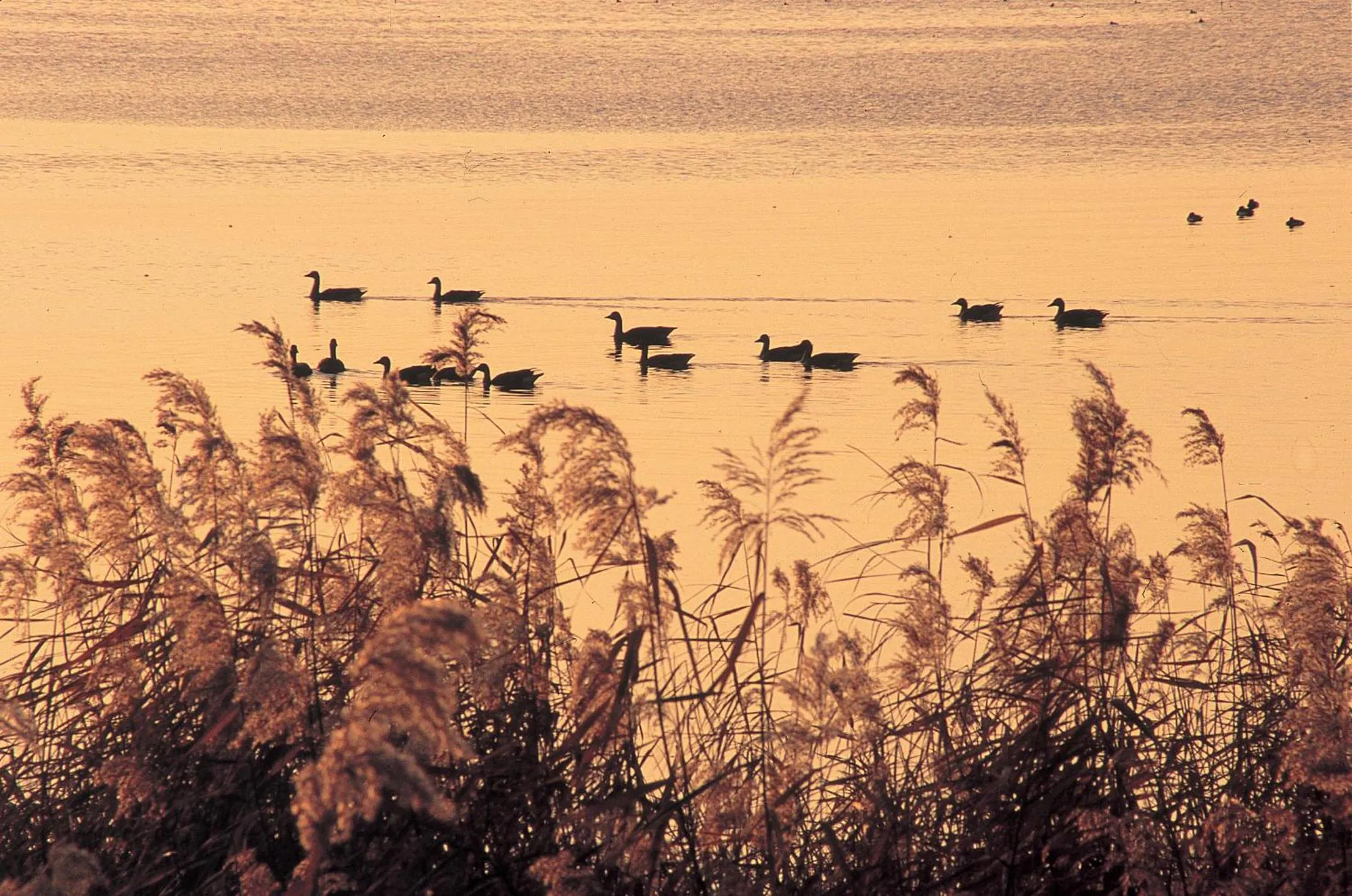 Nearby landmark in Kitabiwako Hotel Grazie