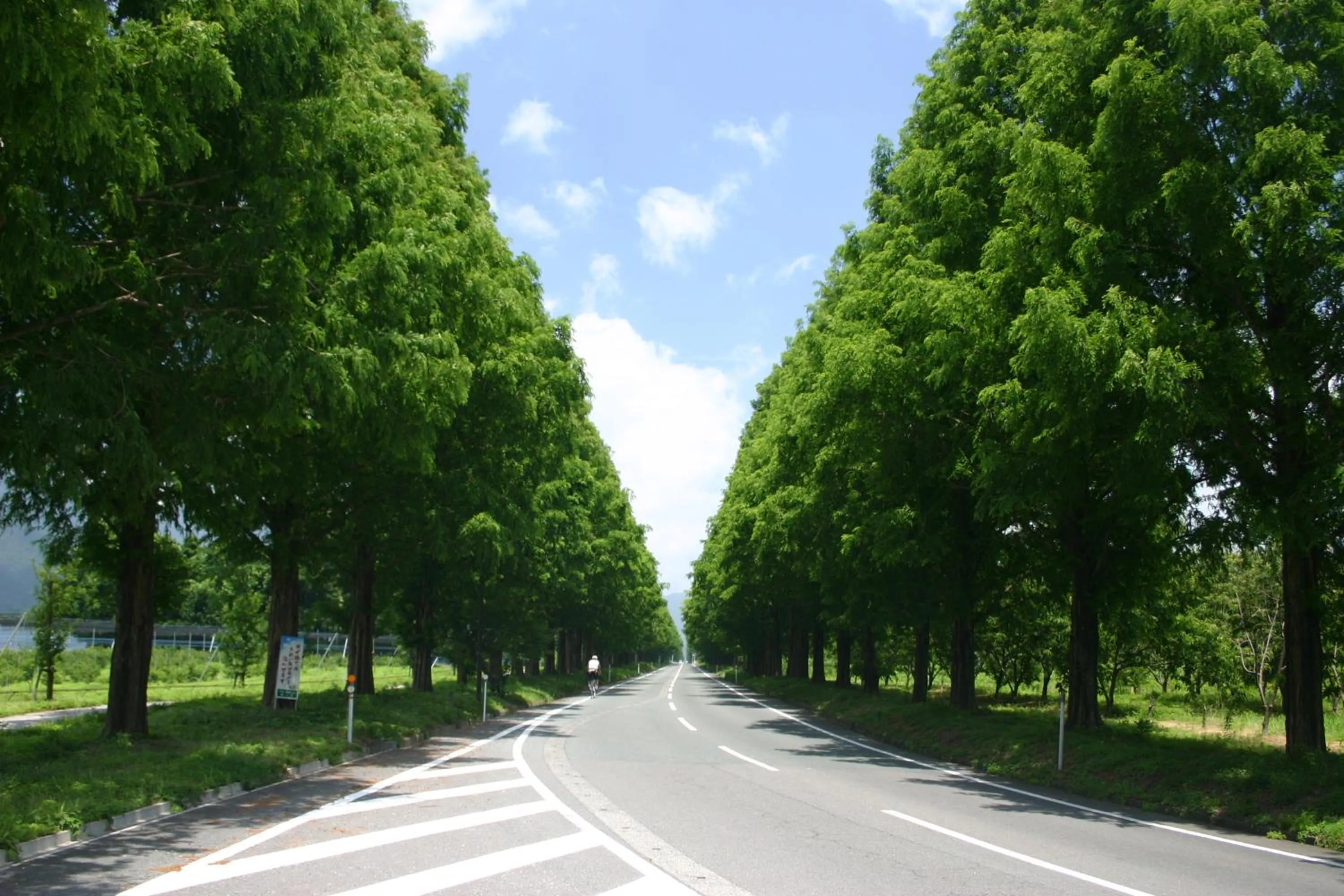 Nearby landmark in Kitabiwako Hotel Grazie