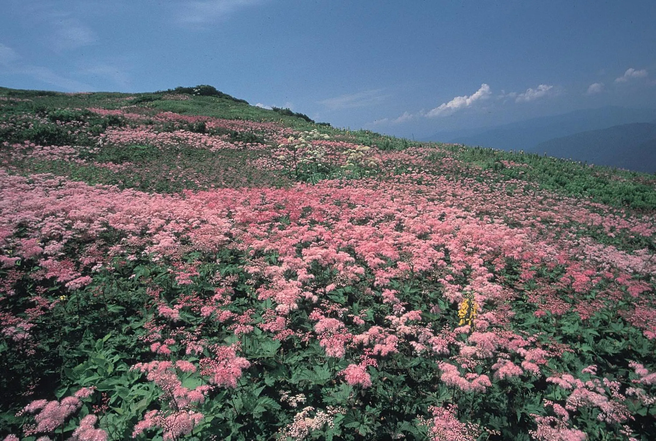 Nearby landmark in Kitabiwako Hotel Grazie