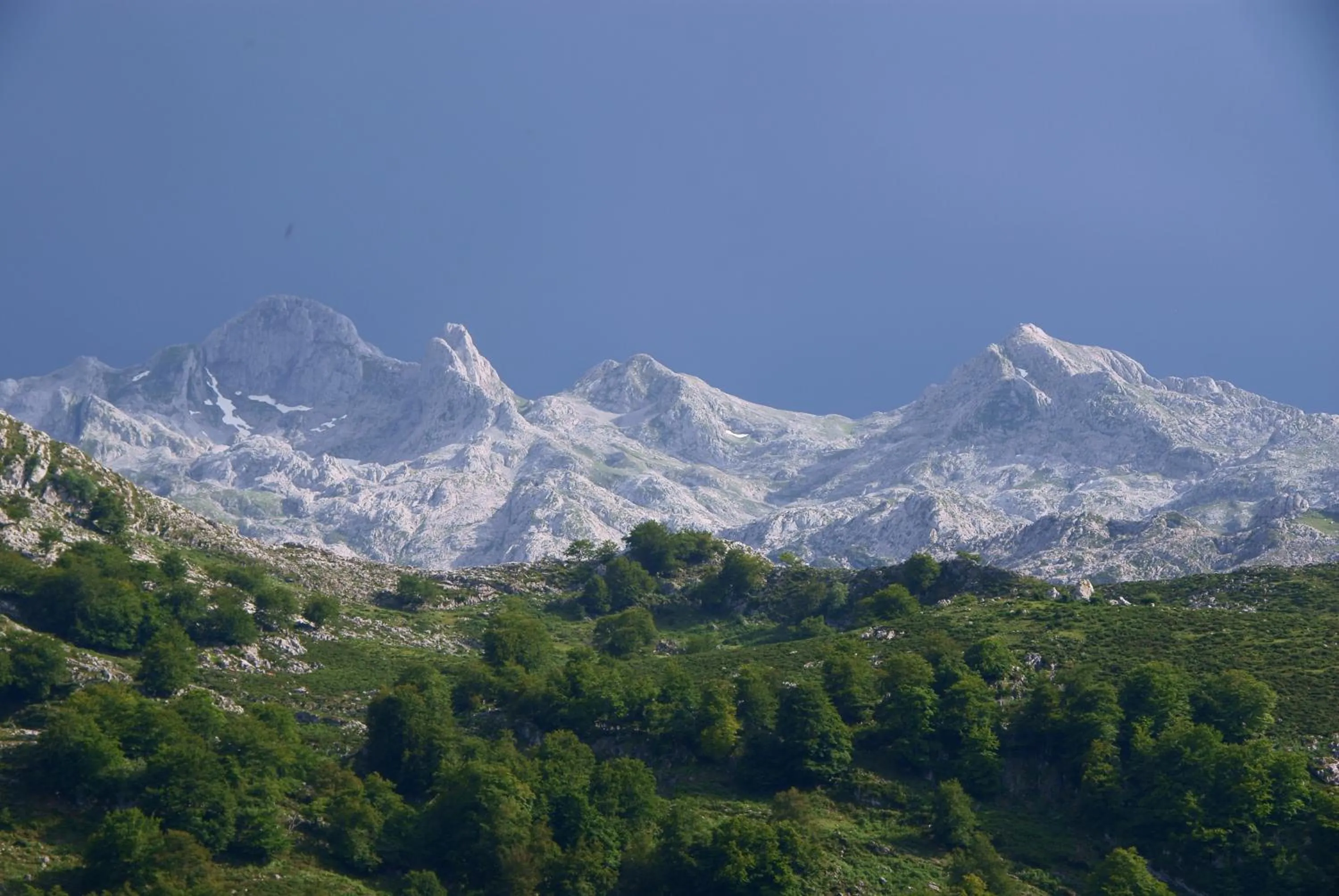 Nearby landmark in Hotel Alonso