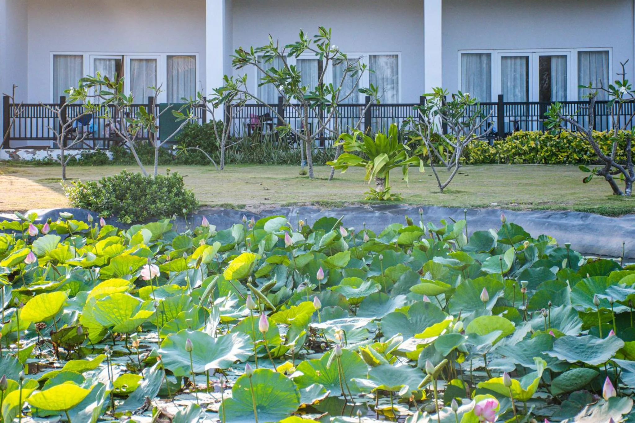 Natural landscape in Muine Bay Resort