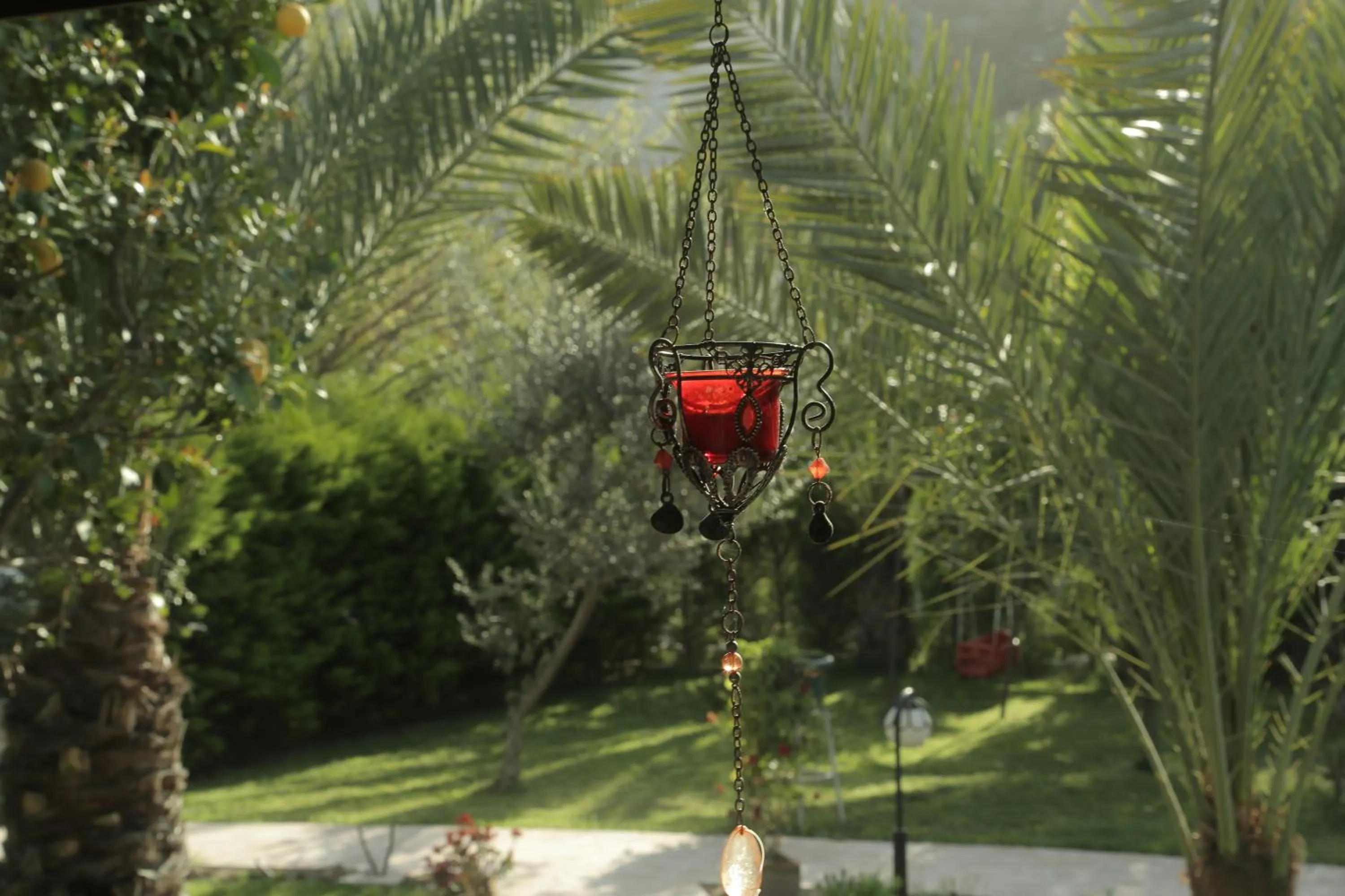 Garden in Aida Hotel