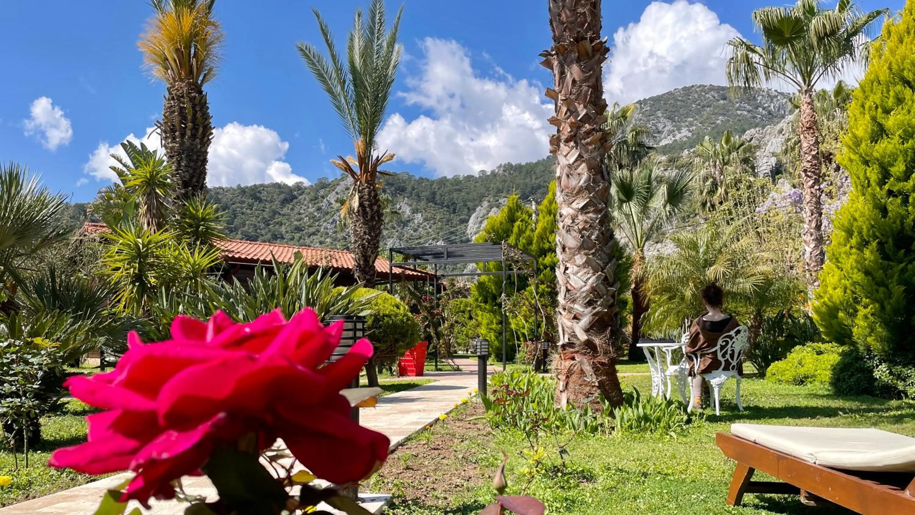 Garden in Aida Hotel