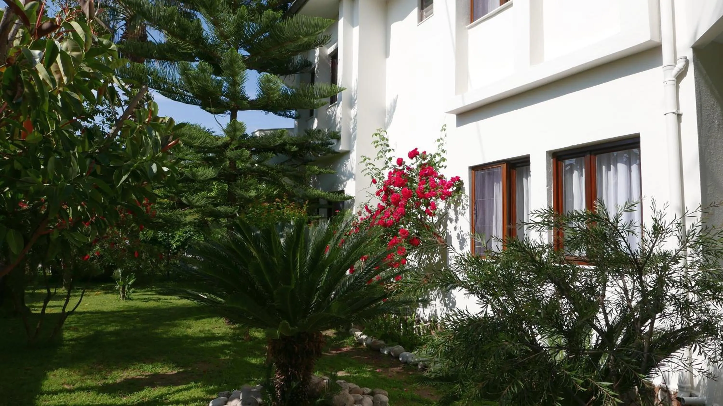 Facade/entrance in Aida Hotel