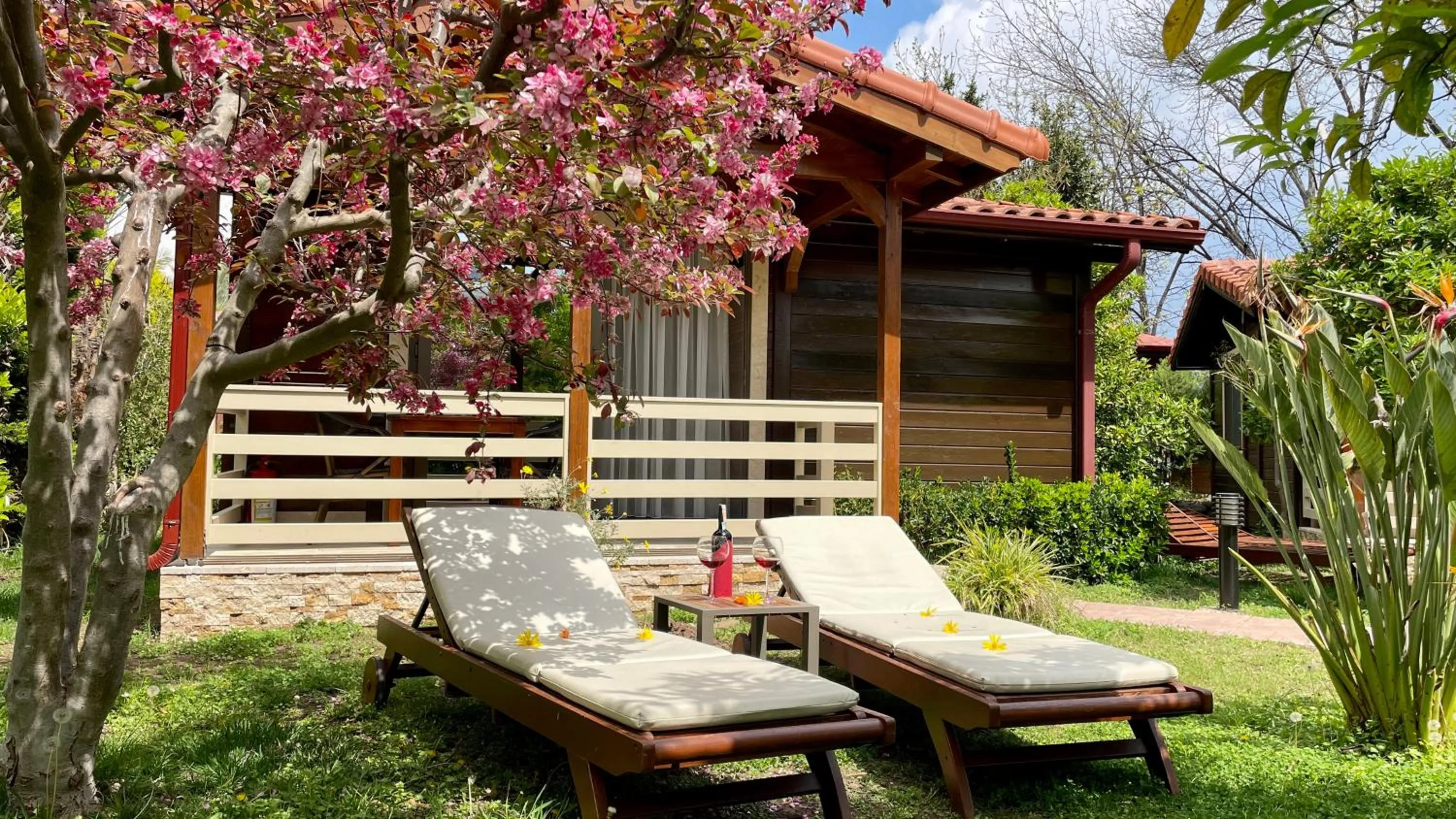 Garden in Aida Hotel