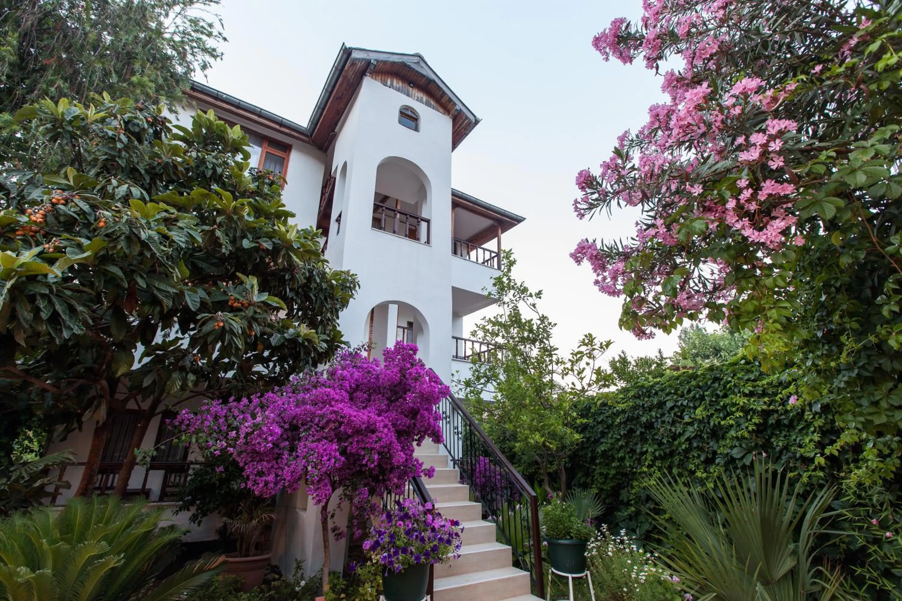 Facade/entrance in Aida Hotel