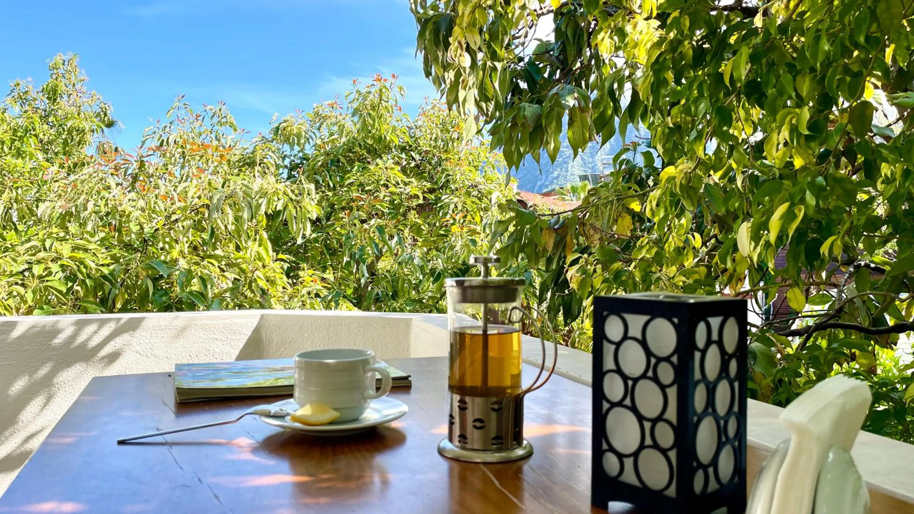 View (from property/room) in Aida Hotel