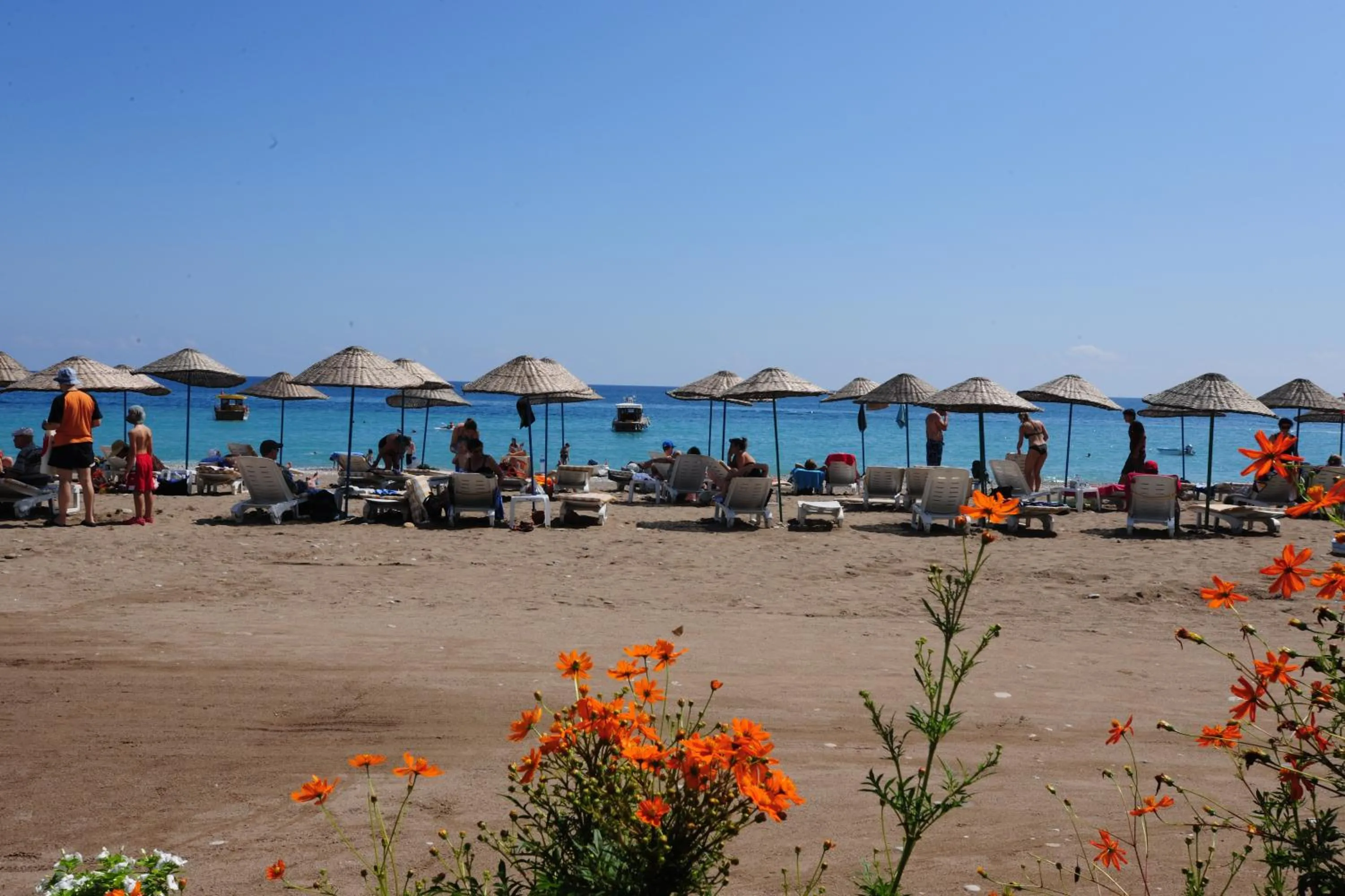 Restaurant/places to eat in Aida Hotel