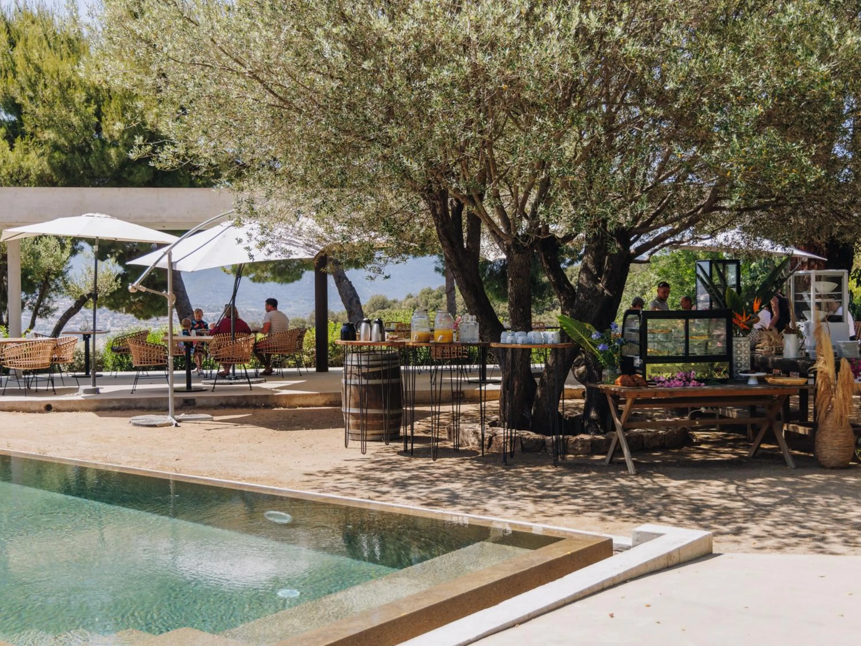 Restaurant/places to eat in Vigna Maggiore