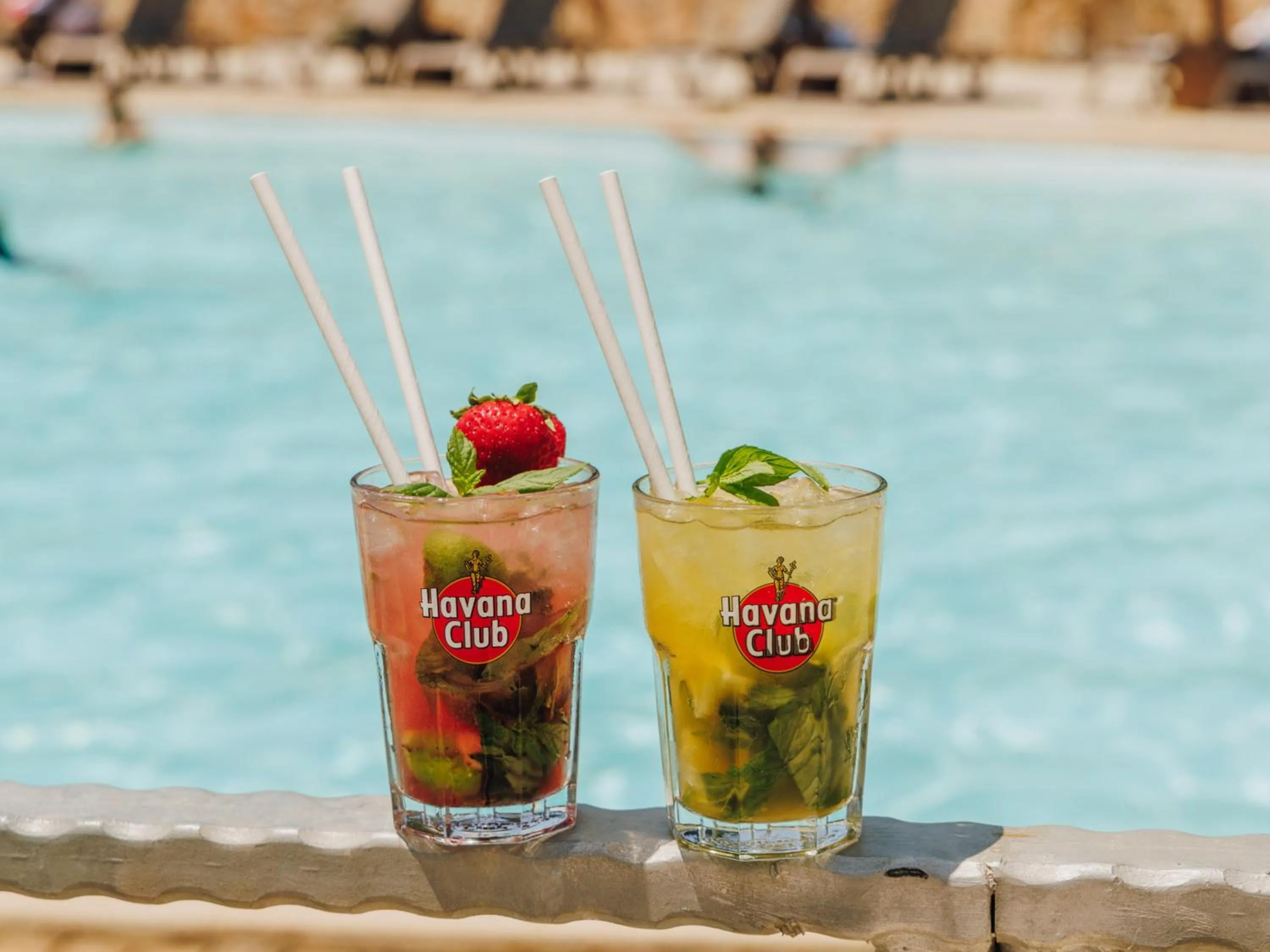 Lounge or bar in Vigna Maggiore