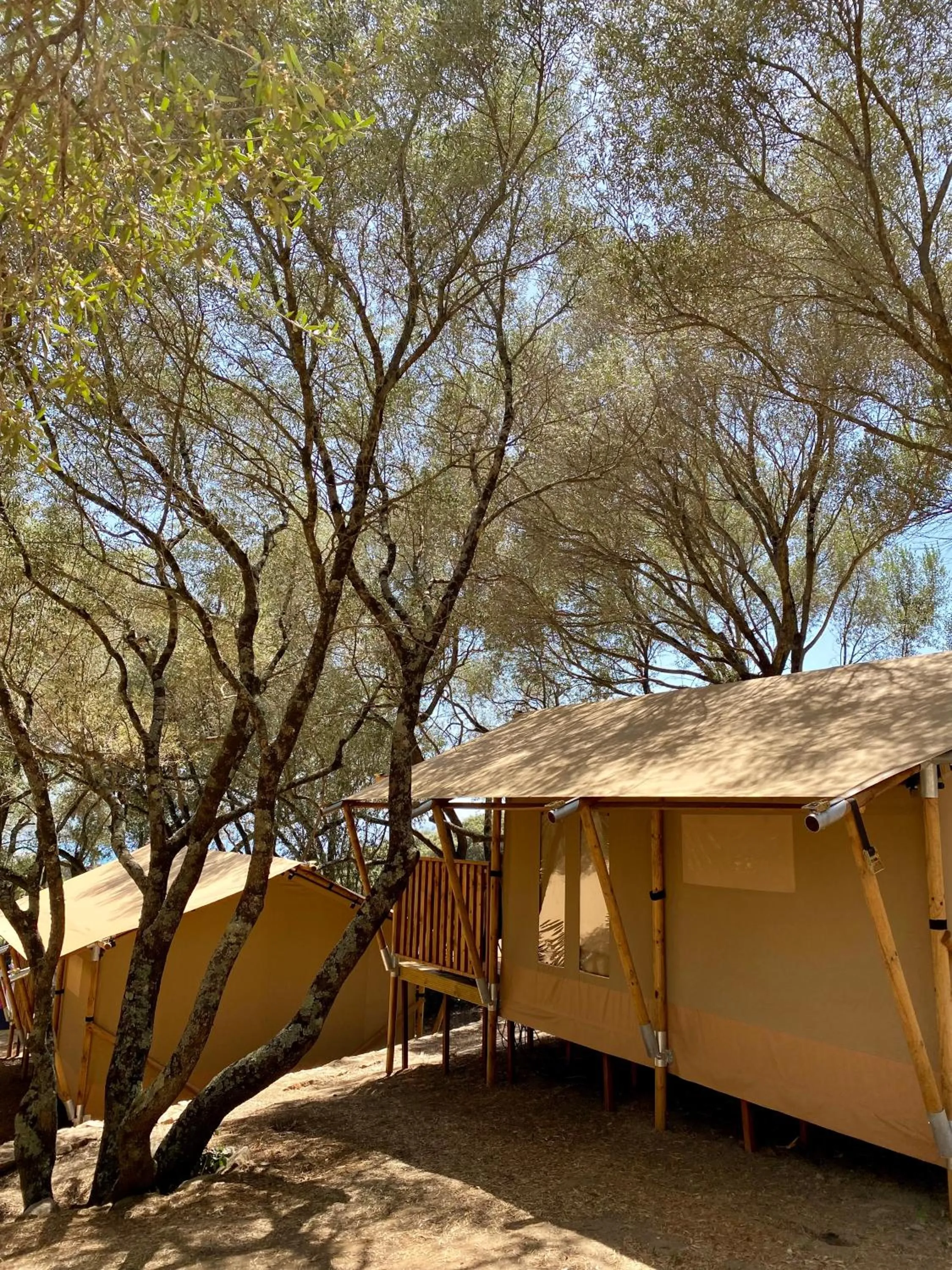 View (from property/room) in Vigna Maggiore