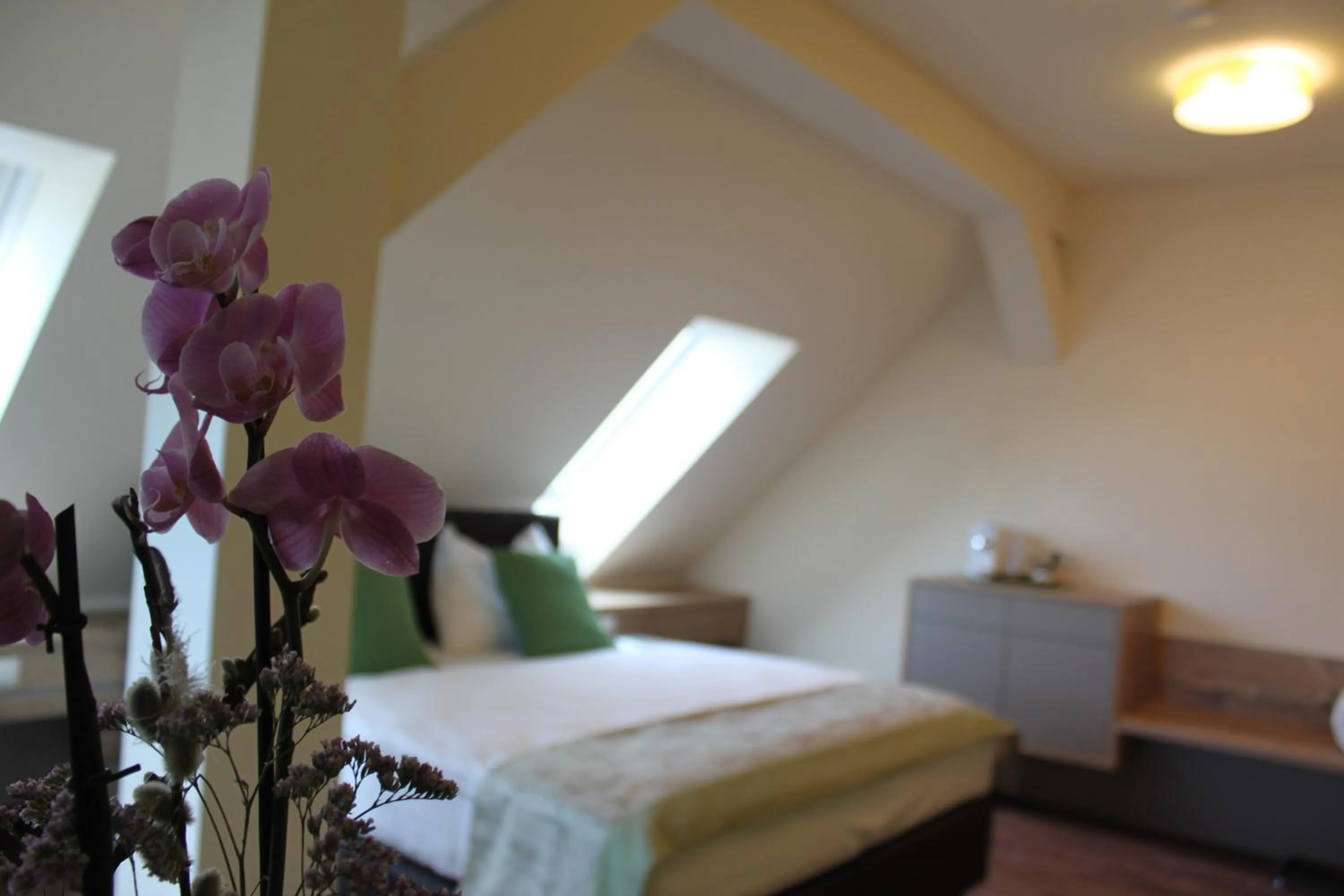 Photo of the whole room, Bed in Hotel Braun