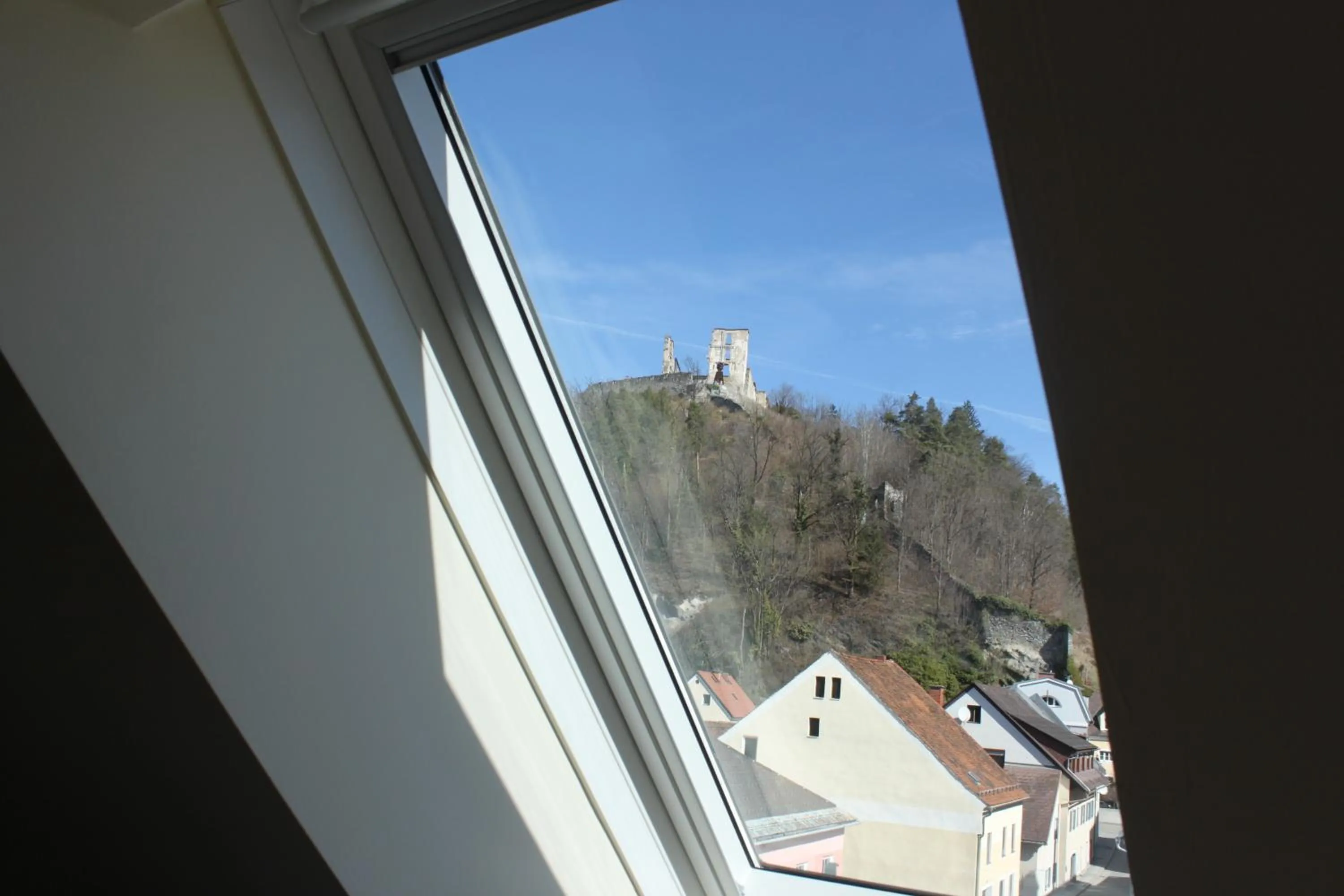 Natural landscape in Hotel Braun