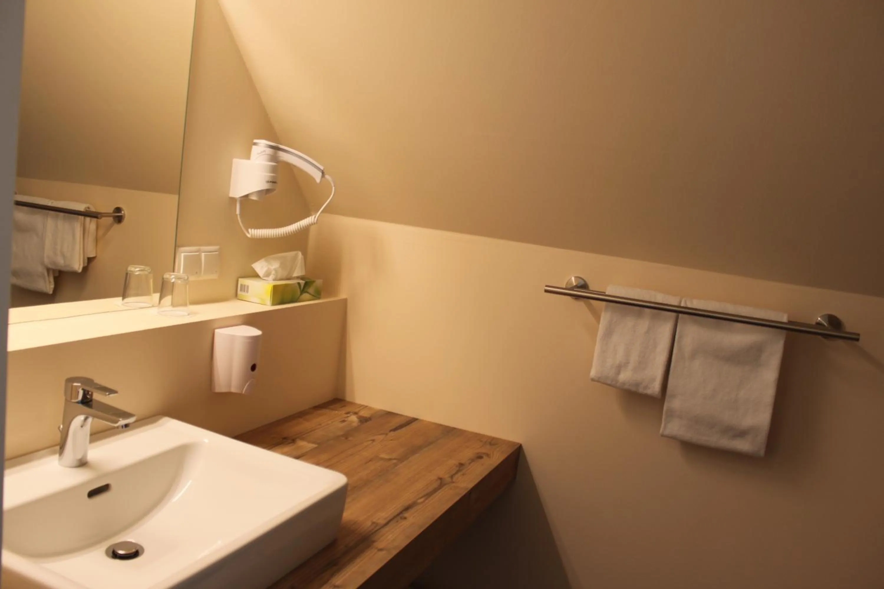 Bathroom in Hotel Braun