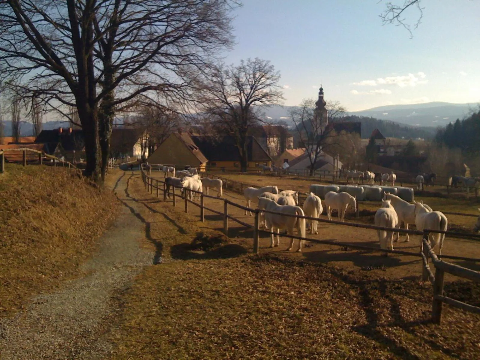 Nearby landmark in Hotel Braun