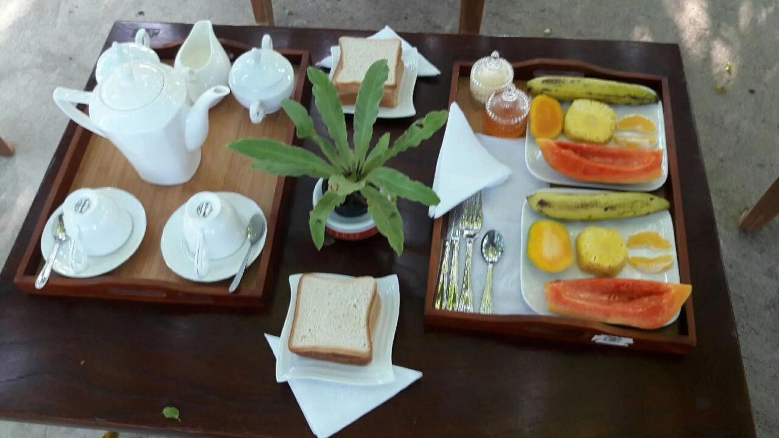 Food close-up in Amazing Villa