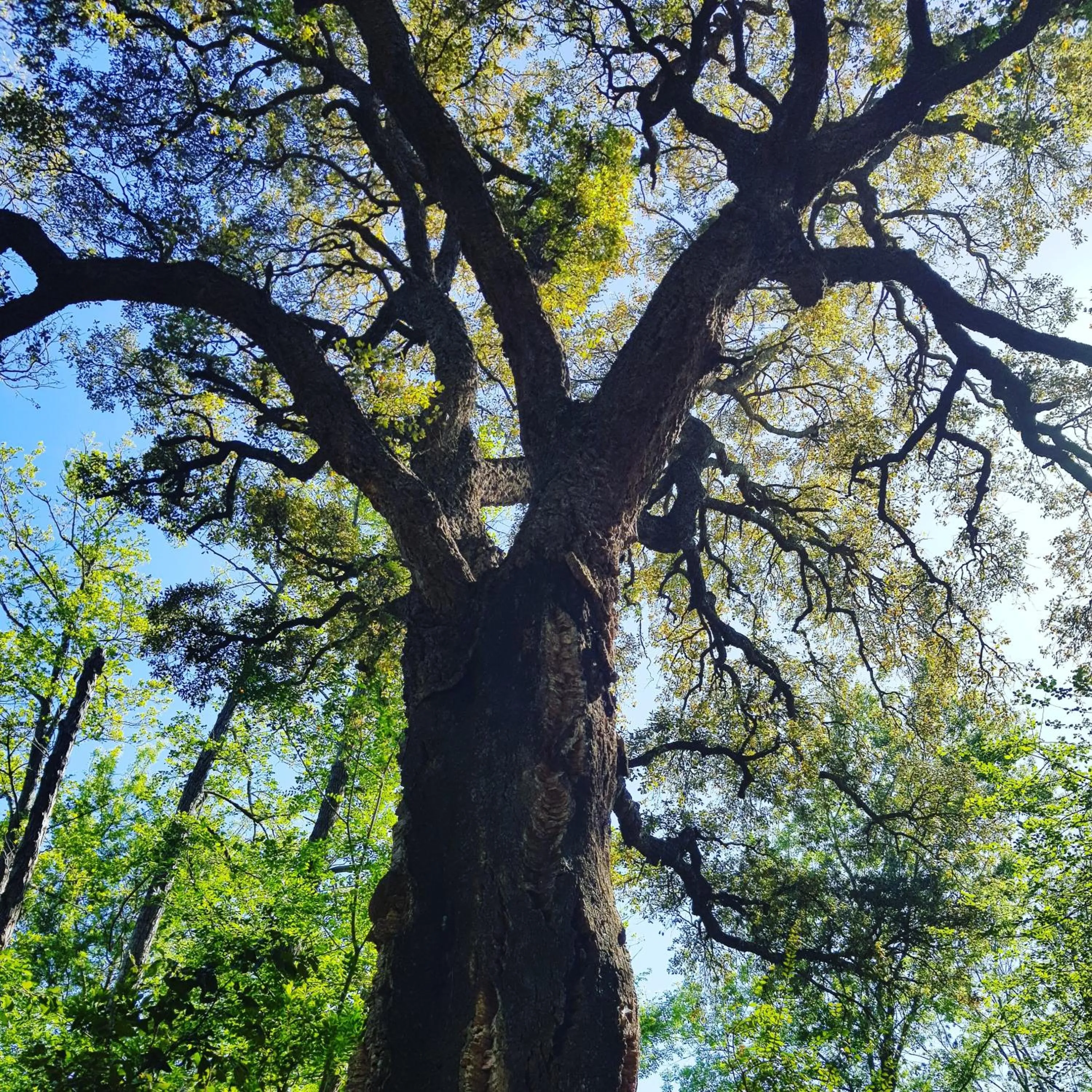 Natural landscape in BAGHEERA Village Naturiste