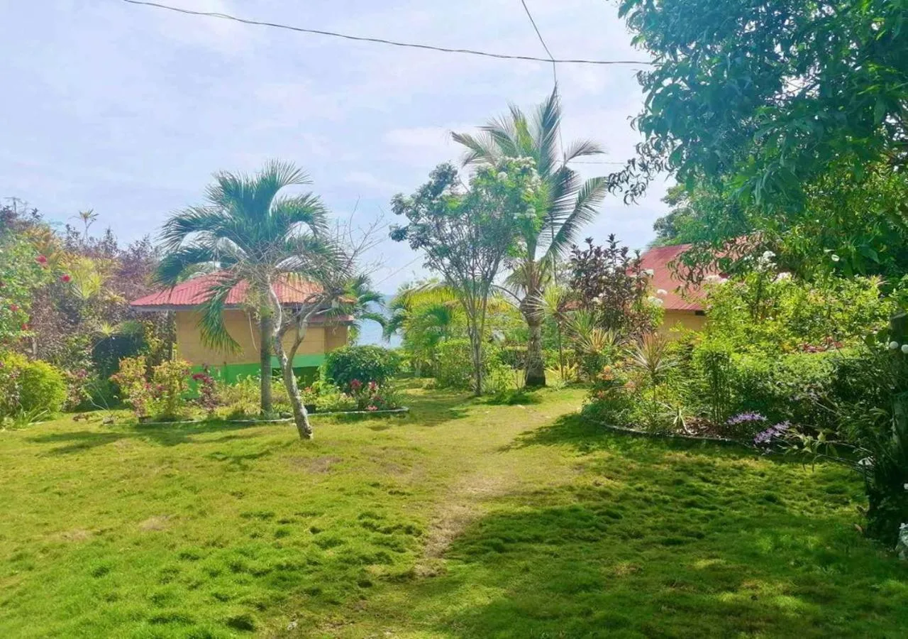 Garden in La Villa Alta