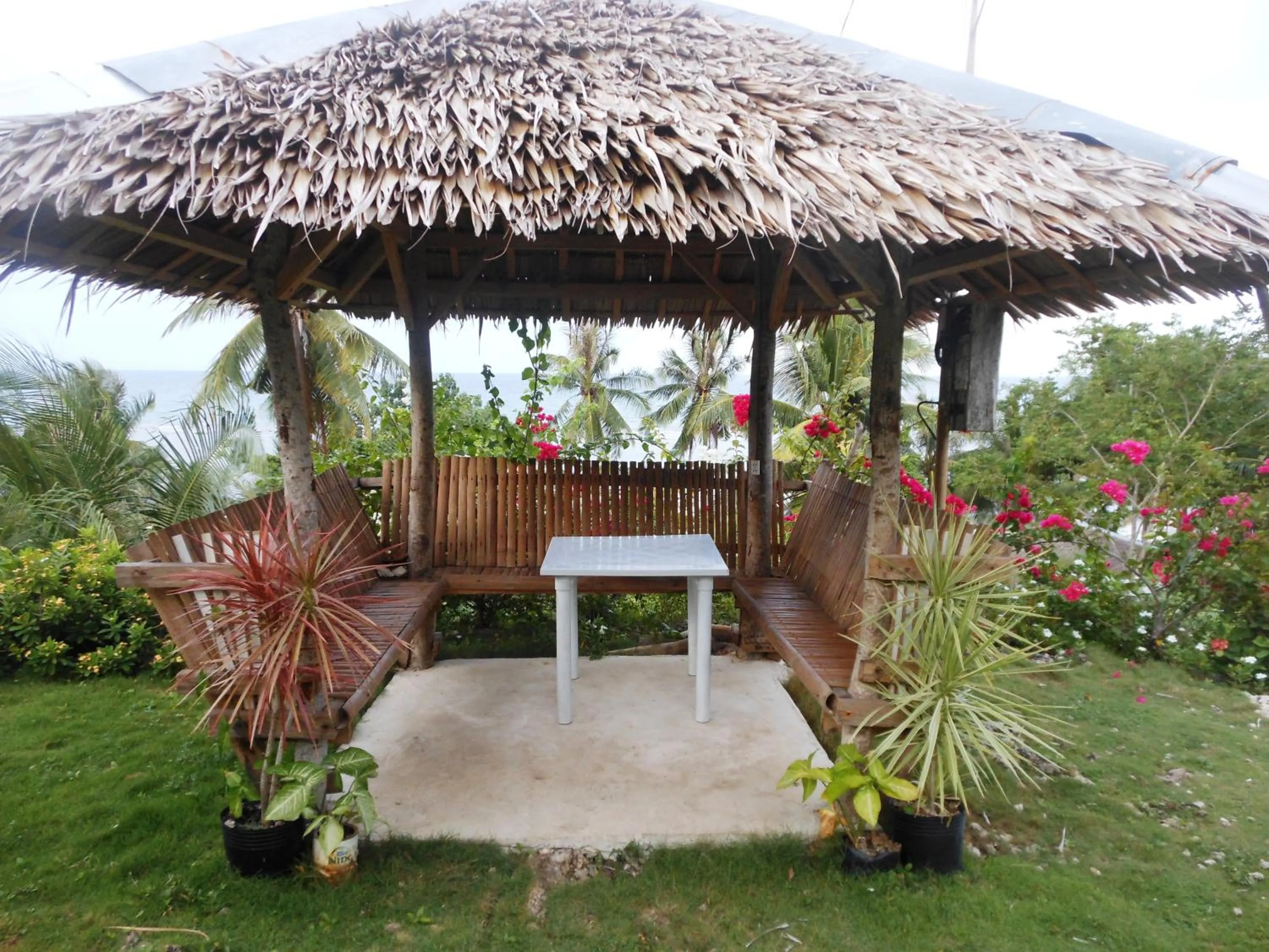 Garden in La Villa Alta