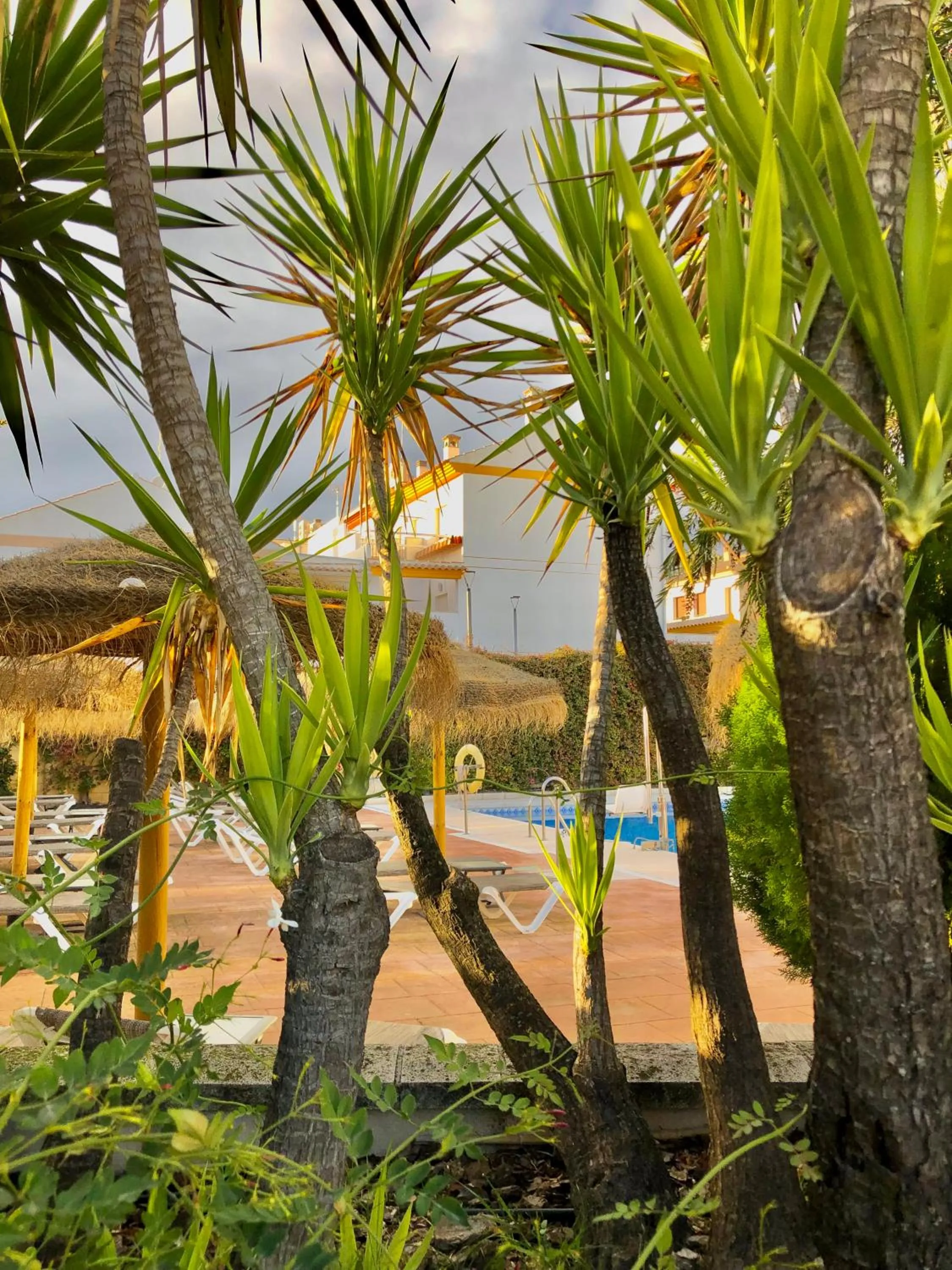 Pool view in Hotel Mencia Subbética