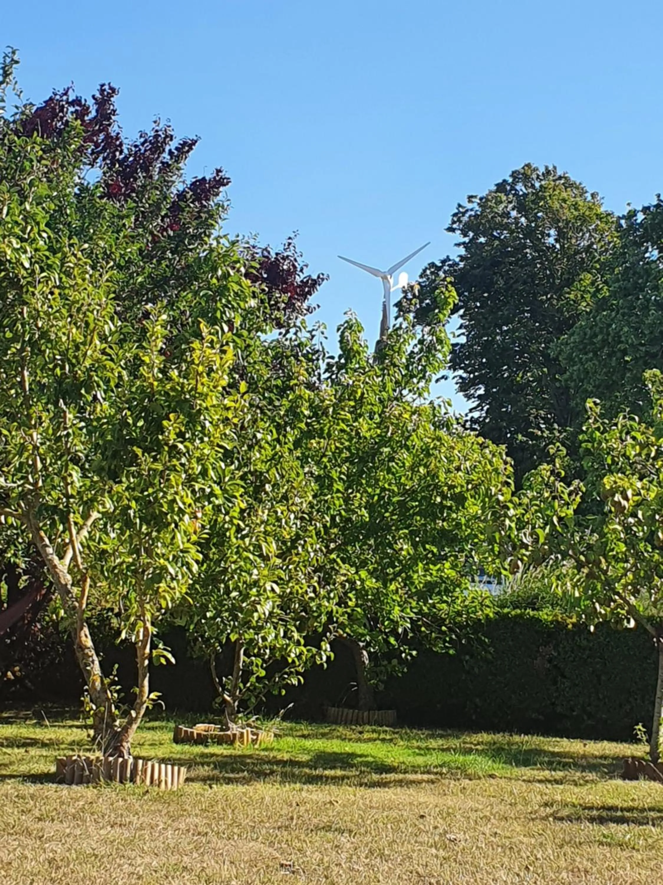 Garden in Le clos de Tournes