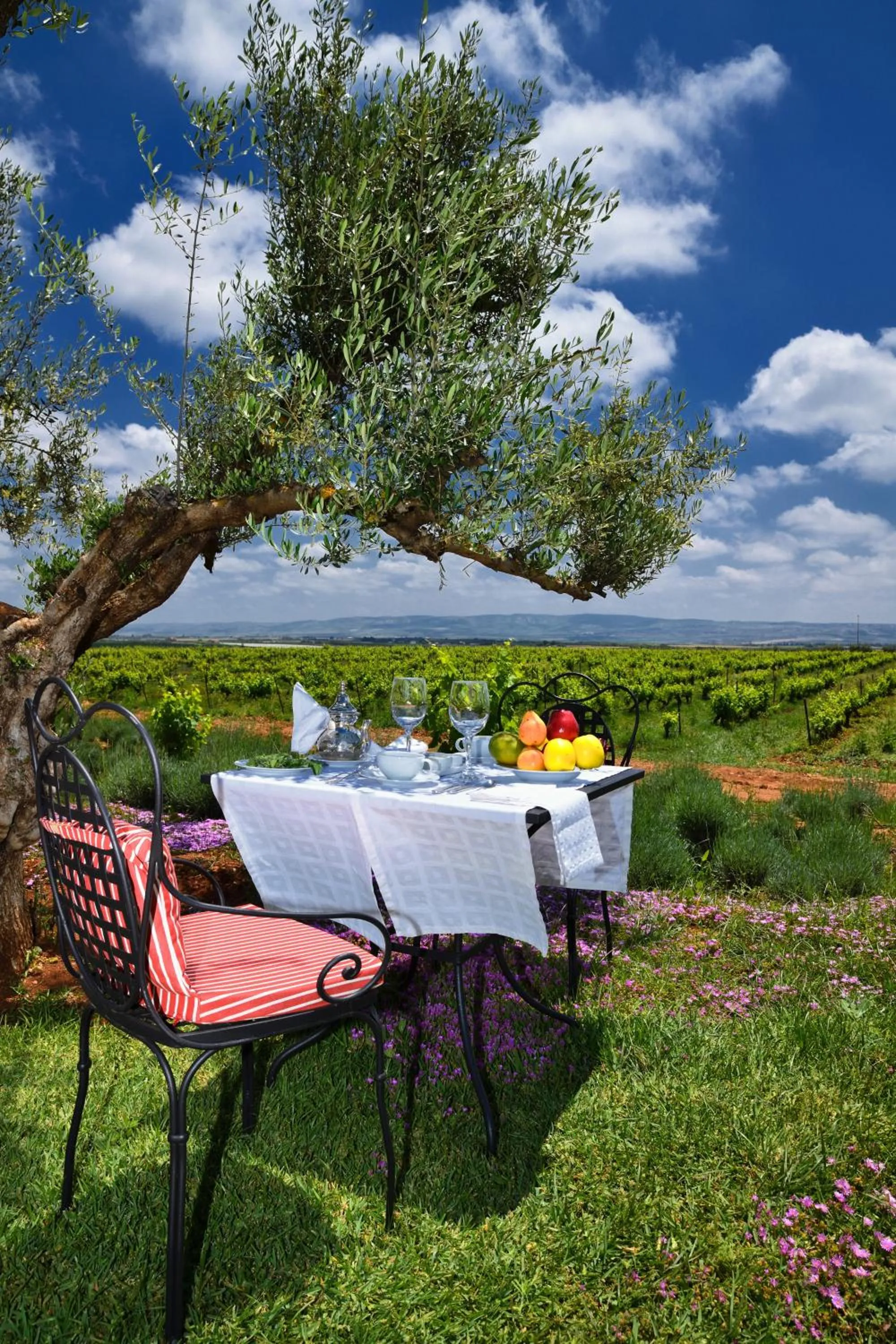 Patio in Château Roslane Boutique hôtel & Spa