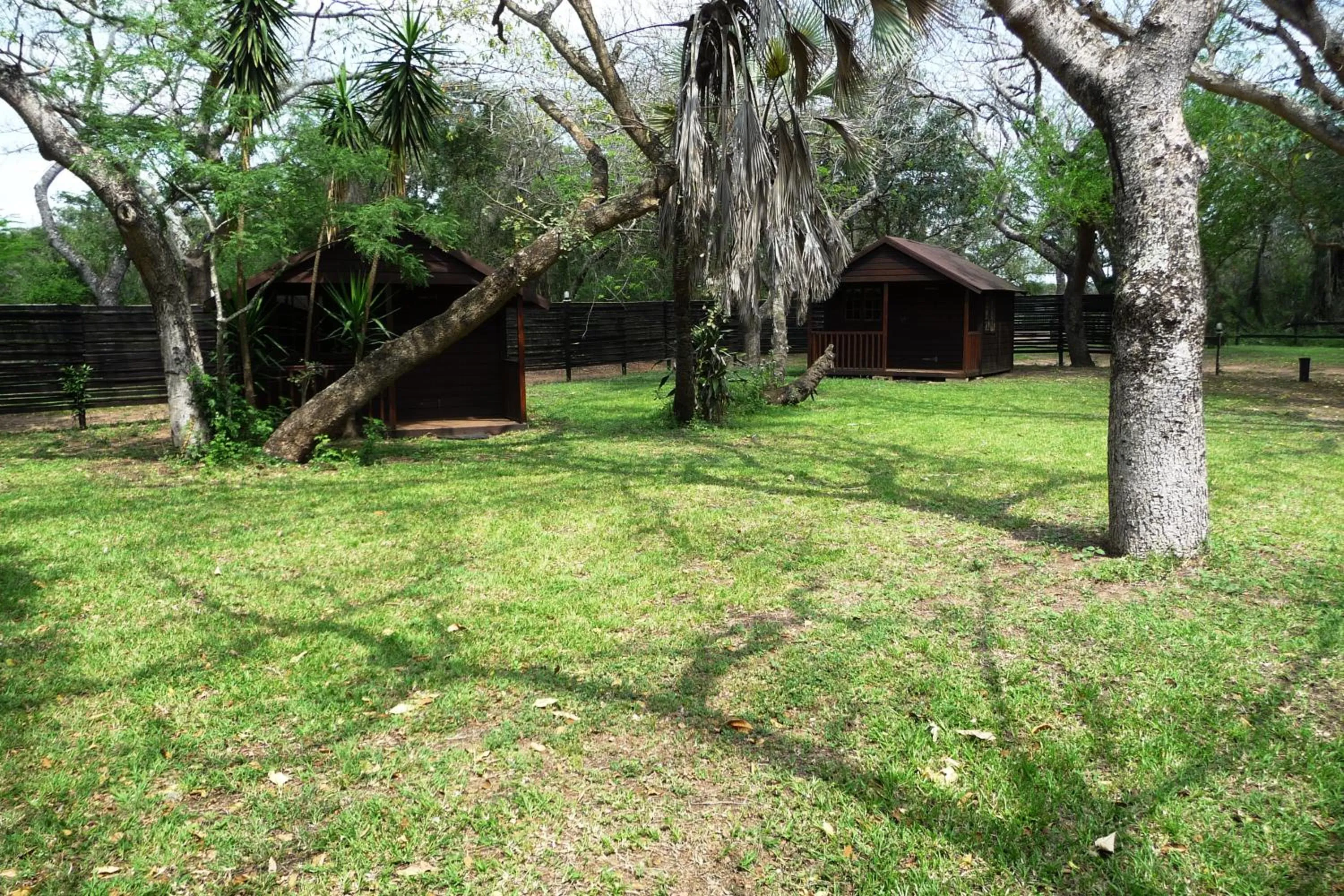 Garden in Isinkwe Bush Camp
