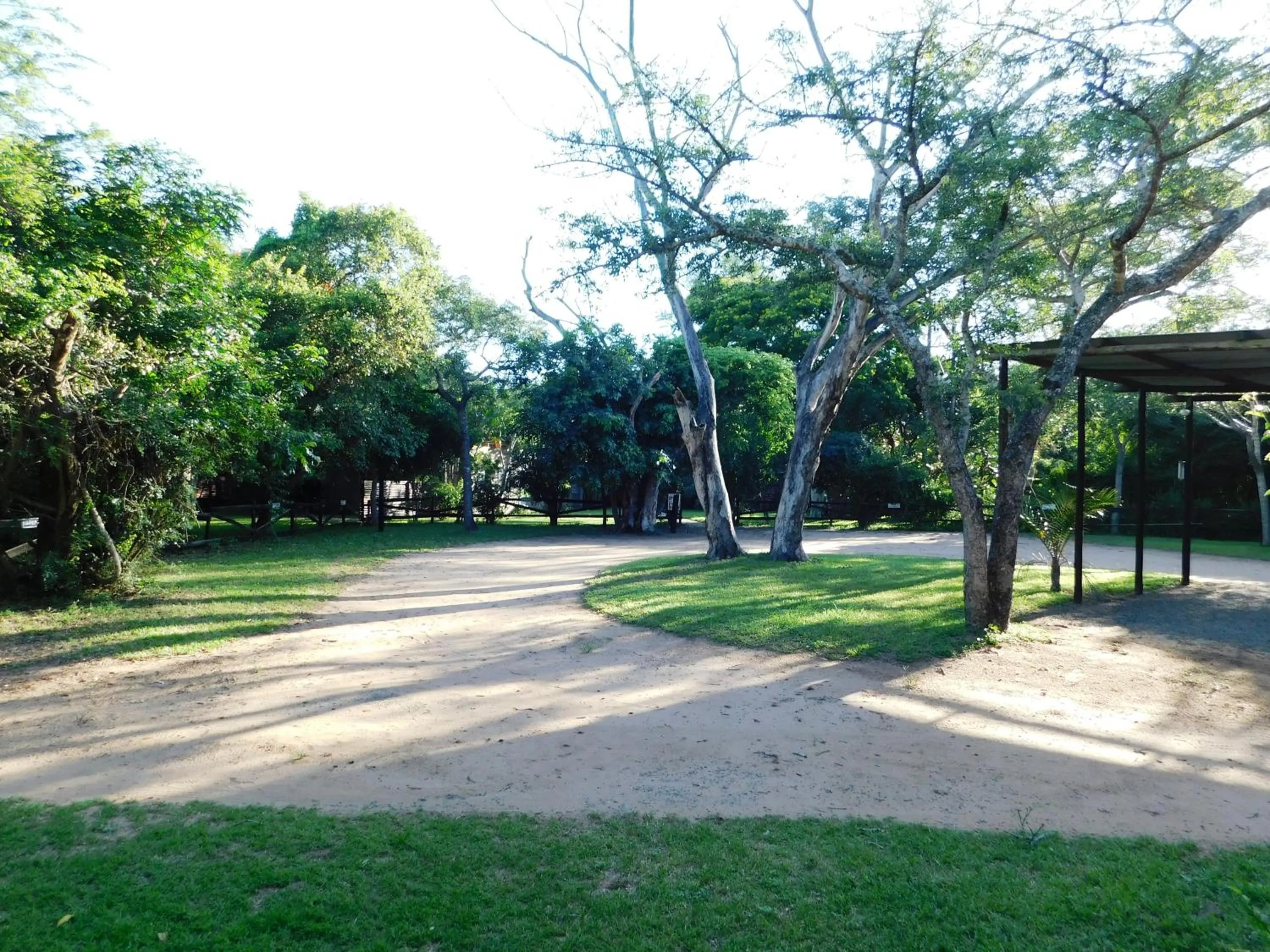 Isinkwe Bush Camp