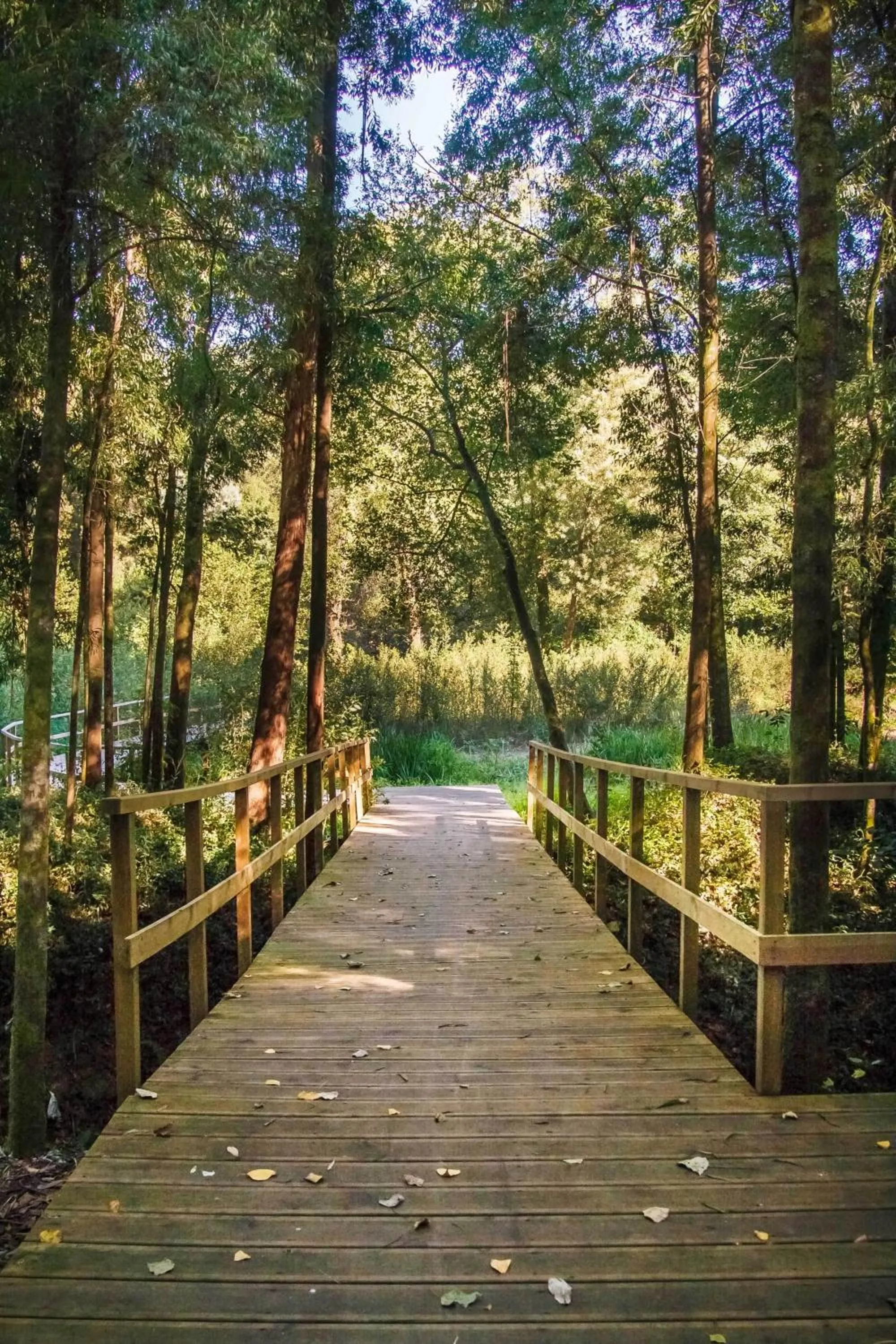 Area and facilities in Hotel Rural Vale Do Rio