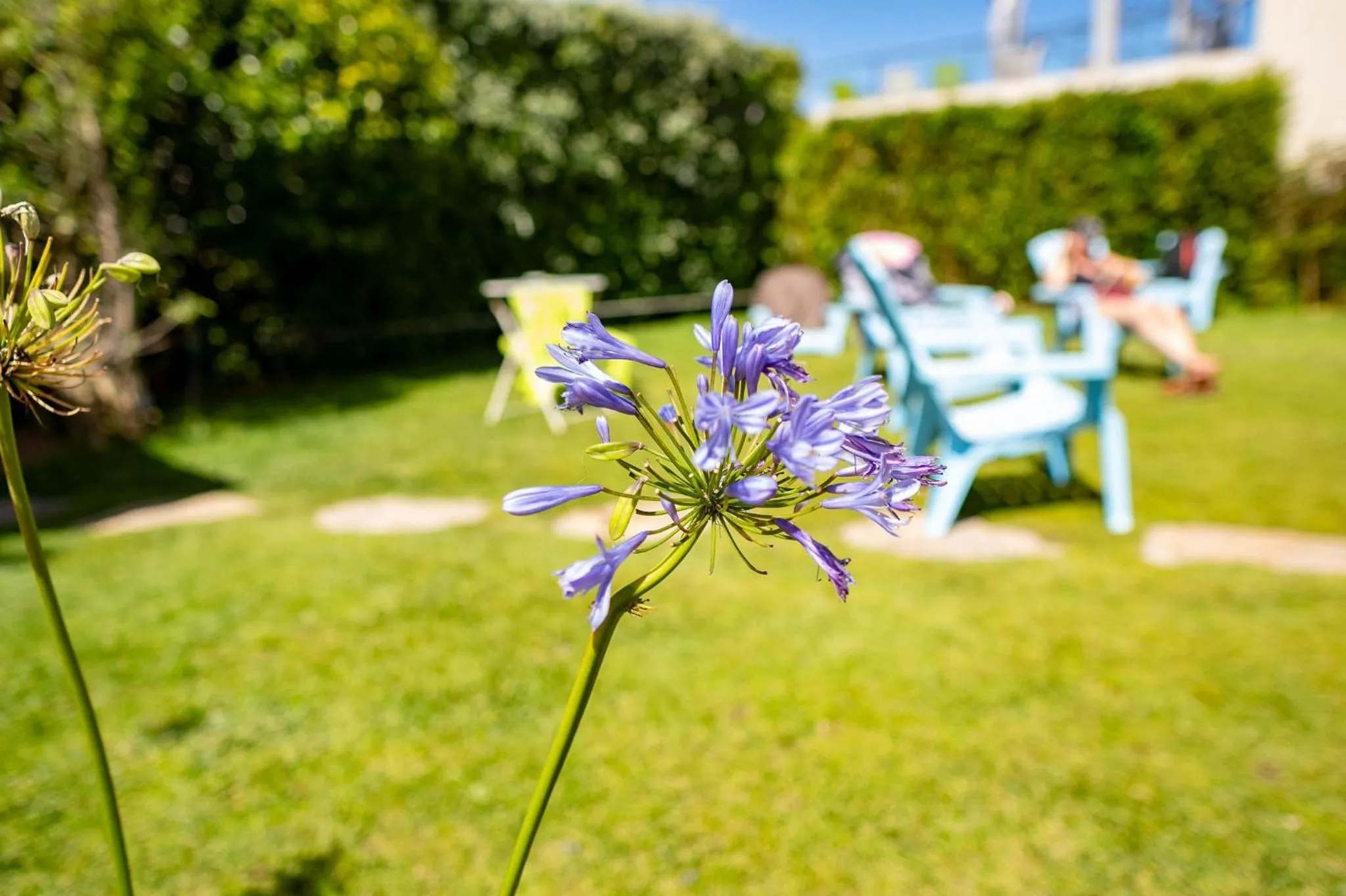 Garden in Captain's Log House