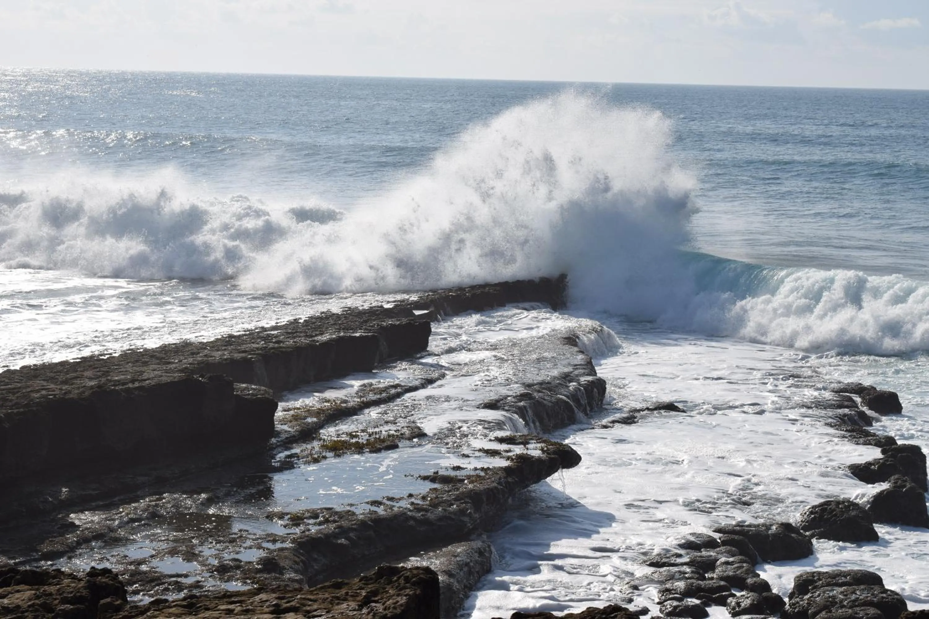 Natural landscape in Captain's Log House