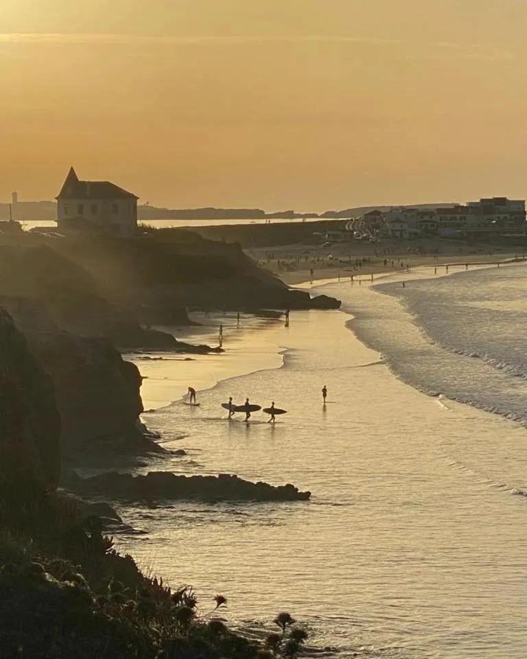 Natural landscape in Captain's Log House