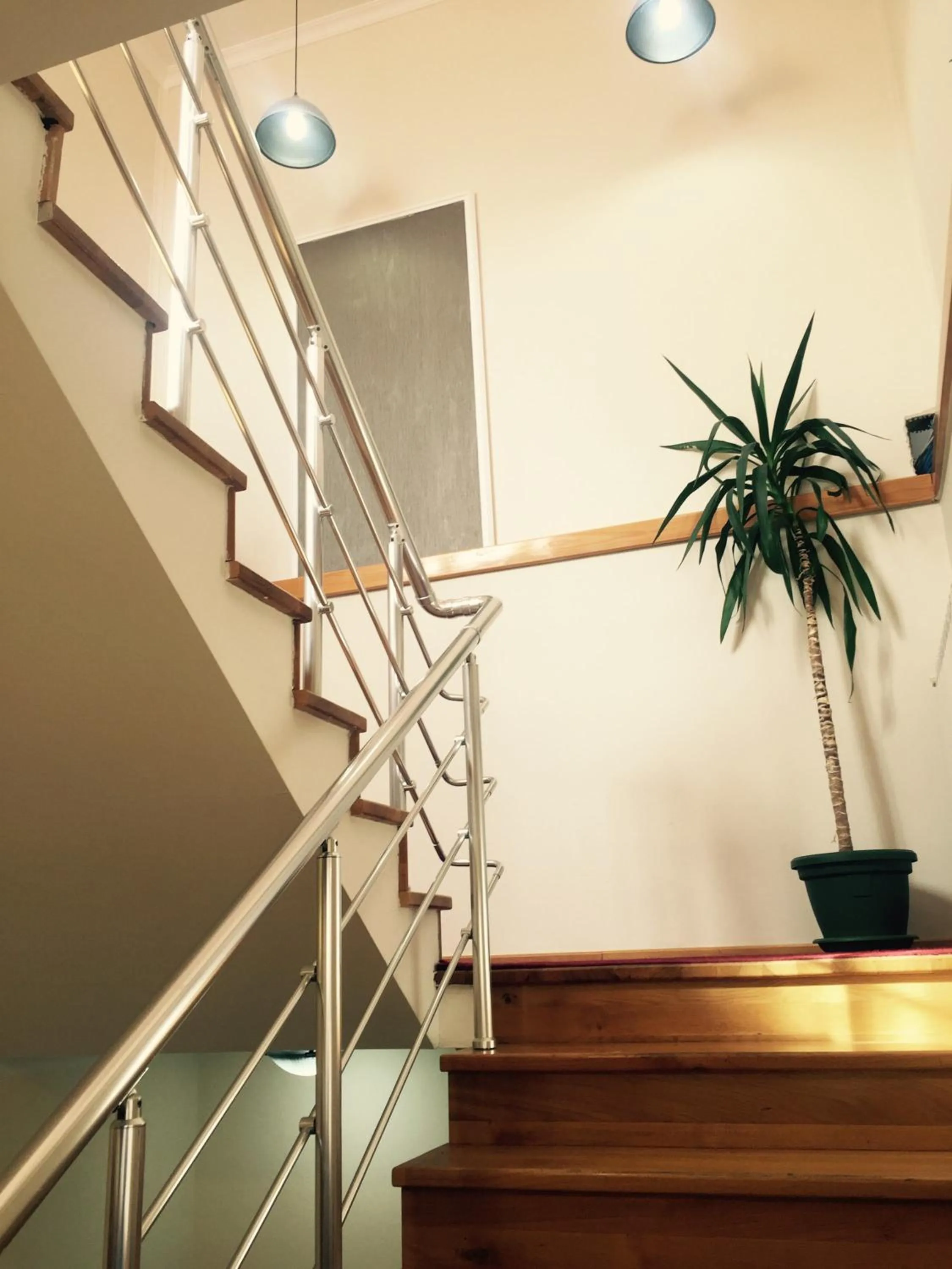 Area and facilities in Guesthouse Tara