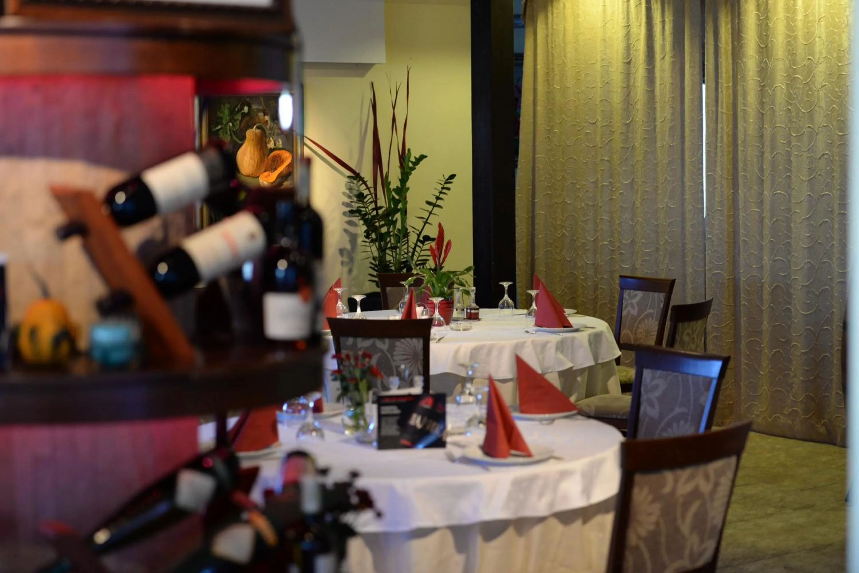 Restaurant/places to eat in Guesthouse Tara