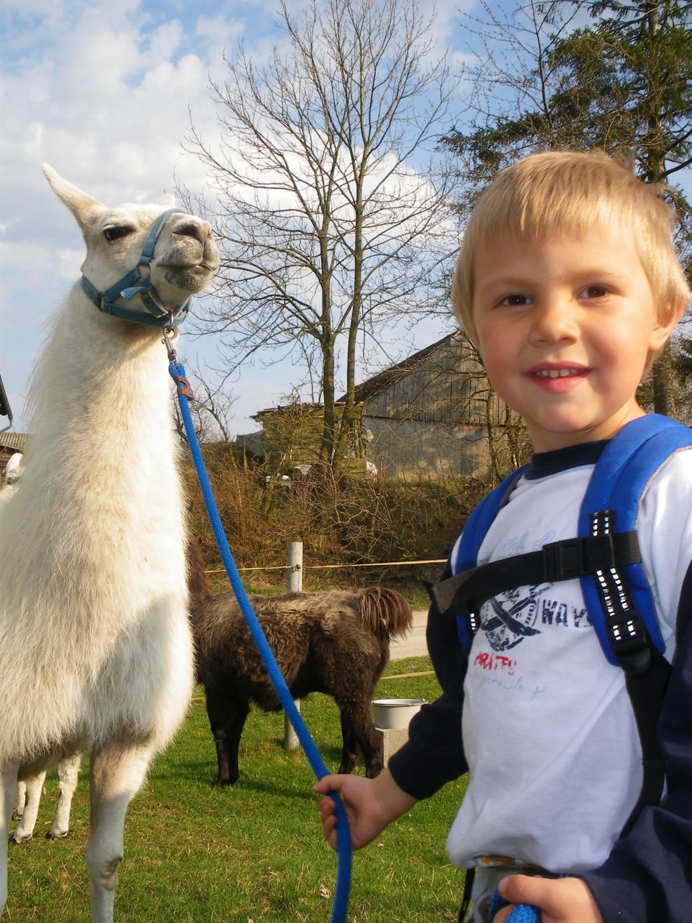 Hiking in JUFA Hotel Waldviertel