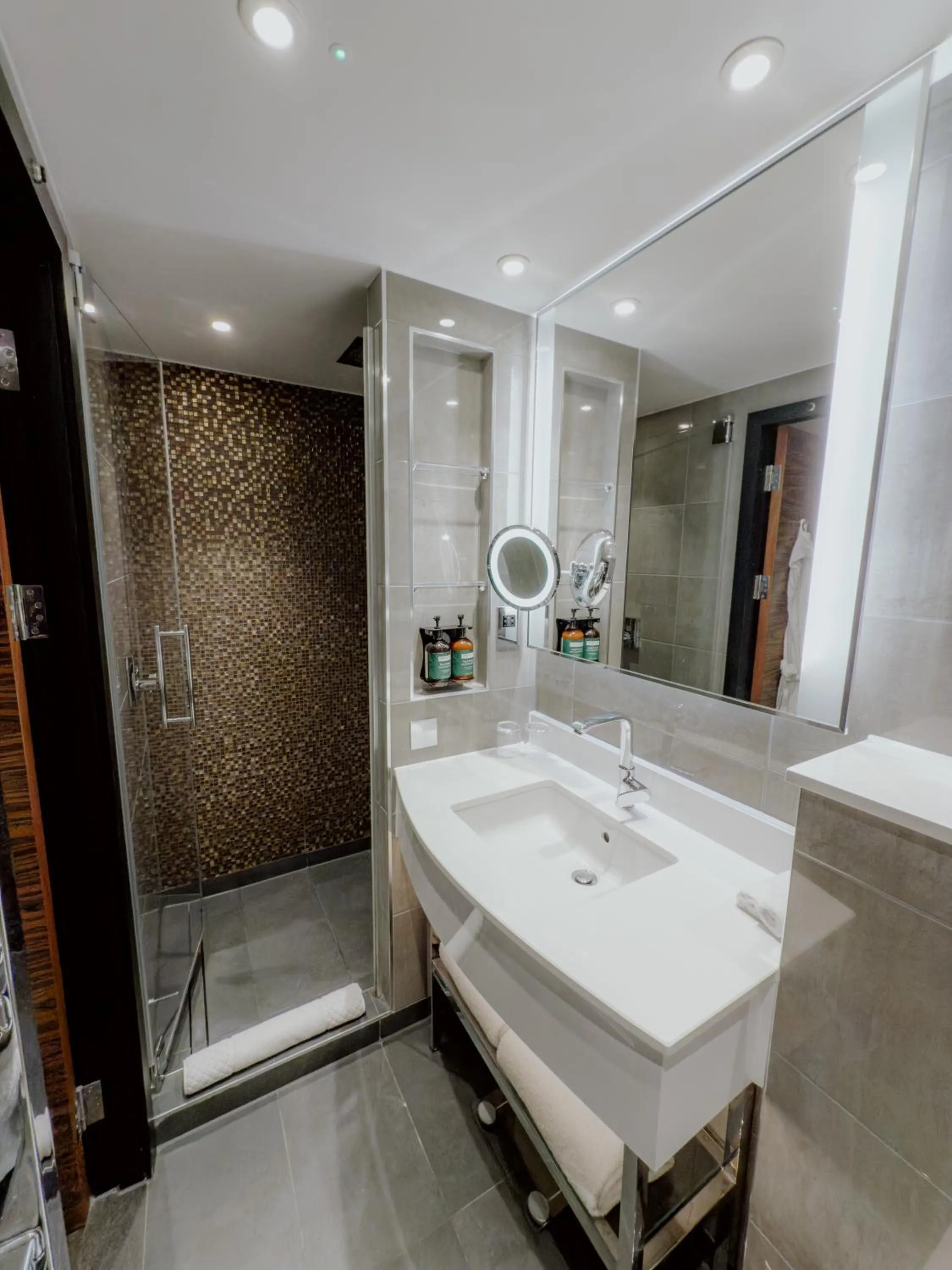 Bathroom in Hyatt Regency London Albert Embankment