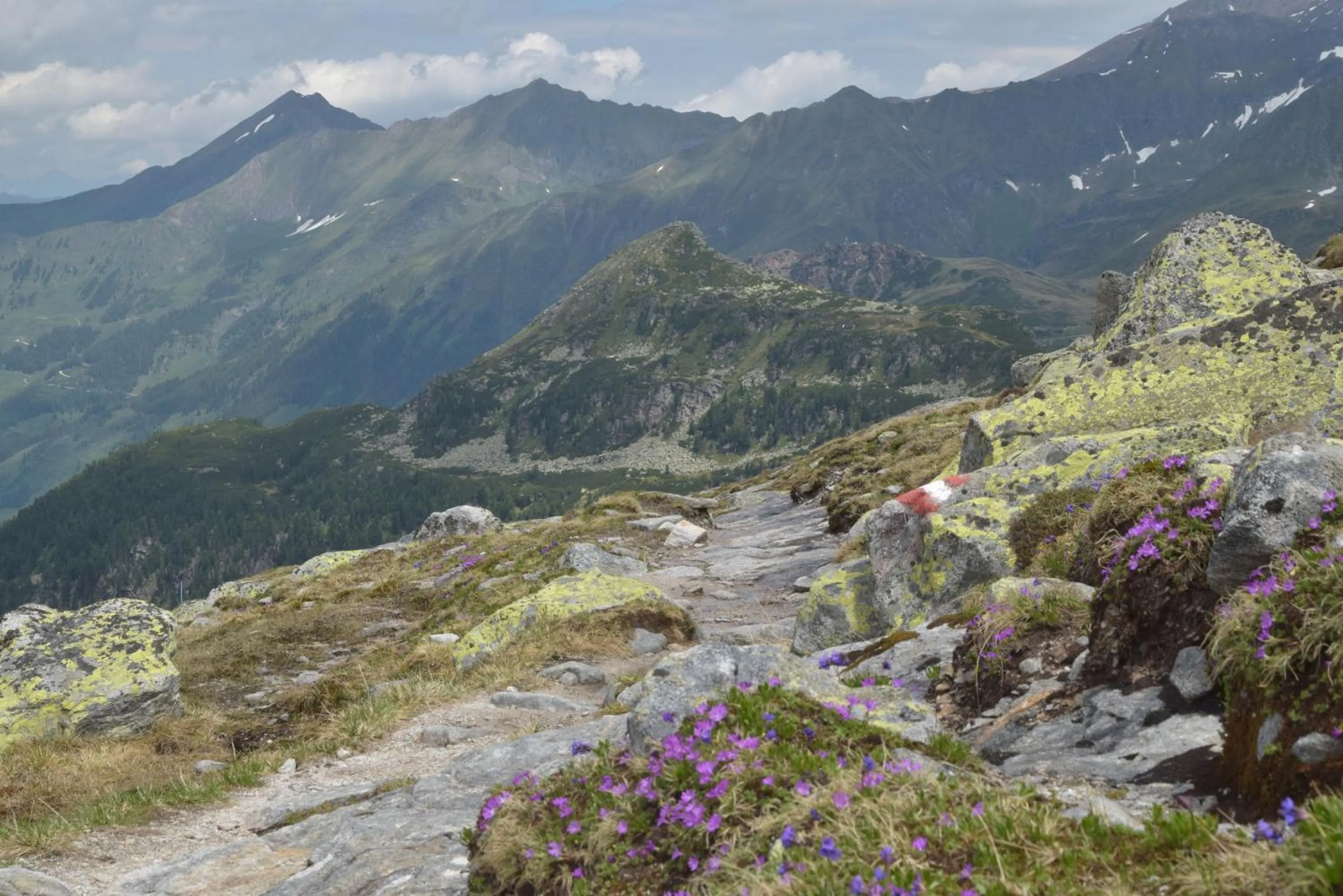 Hiking in Alphotel Mittersill