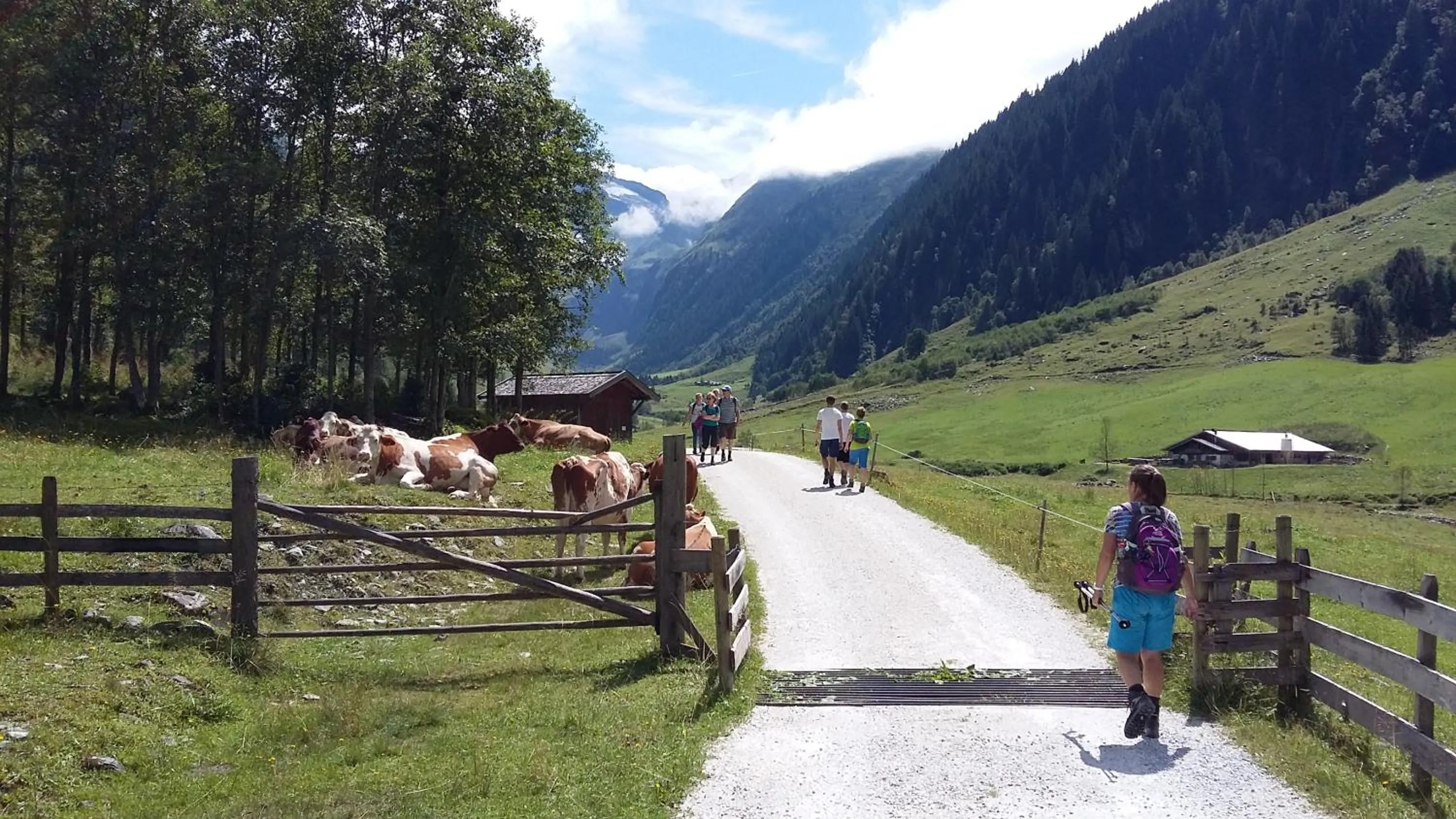 Hiking in Alphotel Mittersill