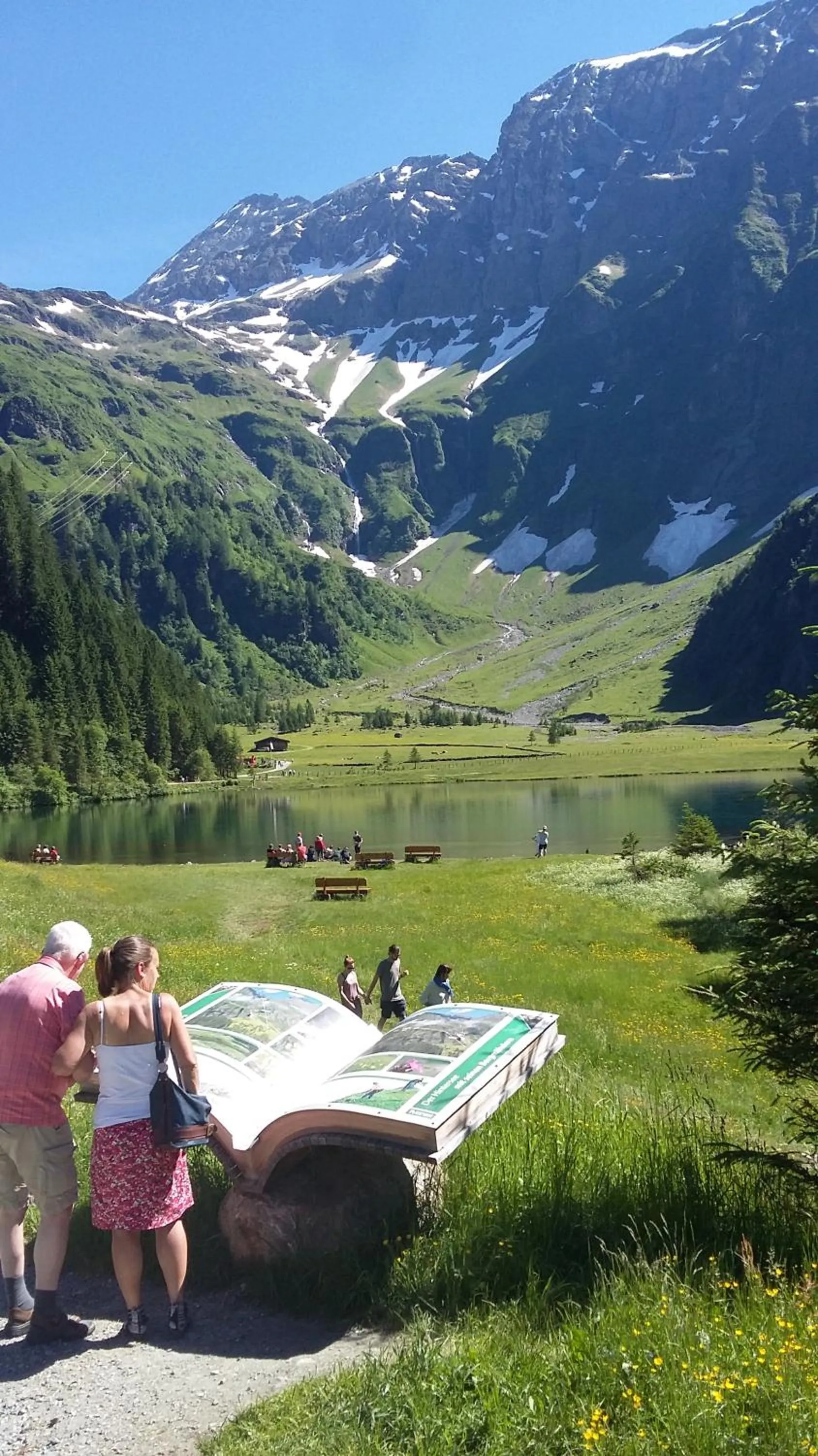 Natural landscape in Alphotel Mittersill