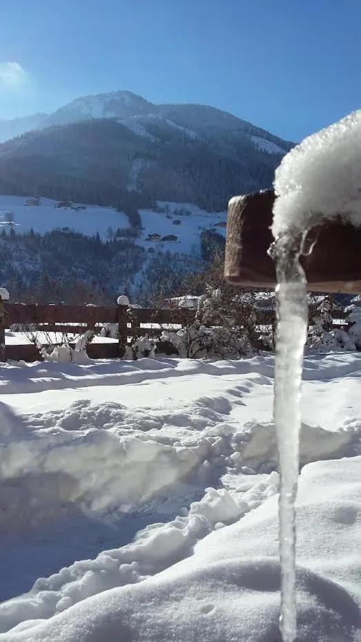 Mountain view in Alphotel Mittersill